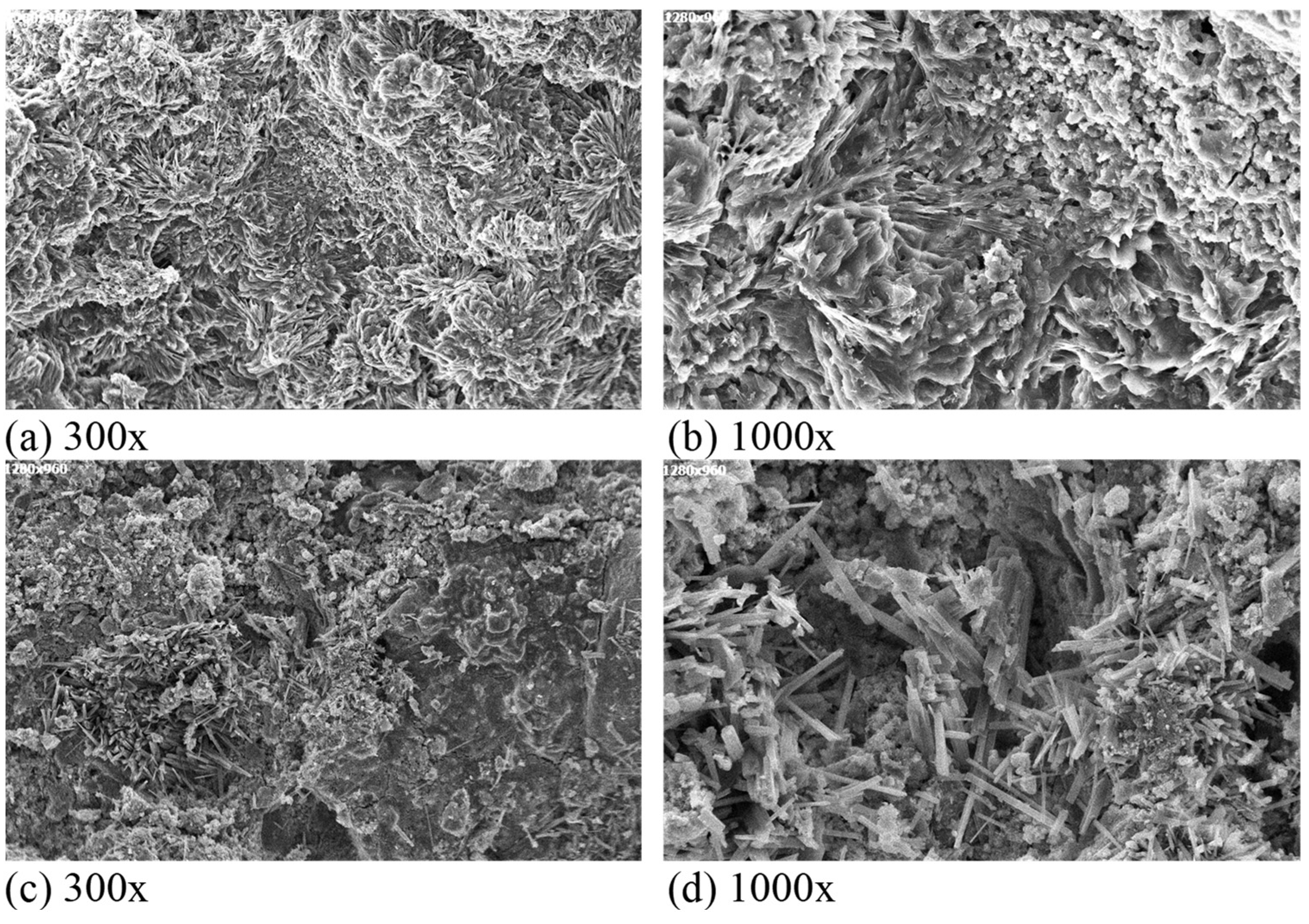 Applsci 14 00853 g004