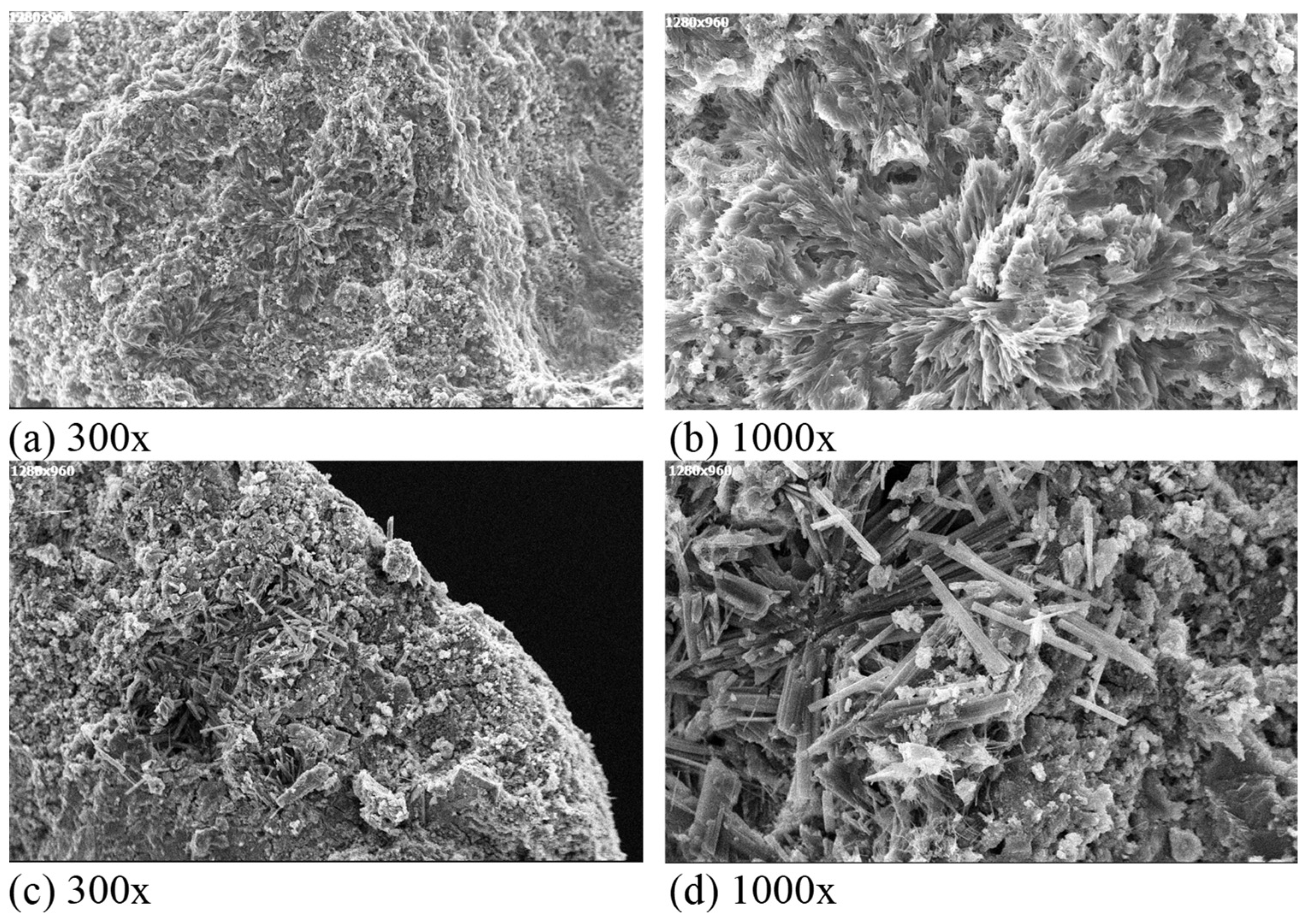 Applsci 14 00853 g005