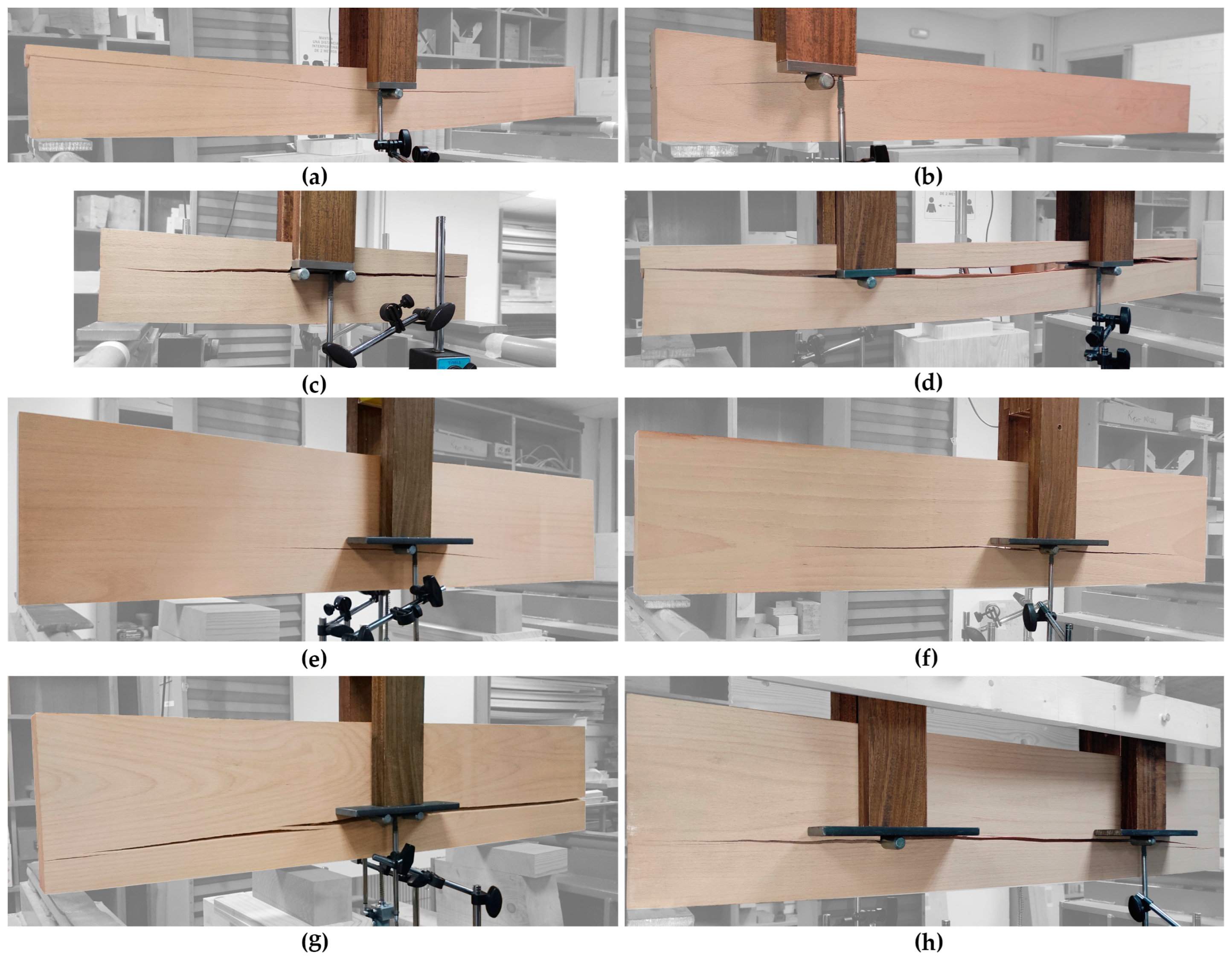 Applsci 14 00900 g010