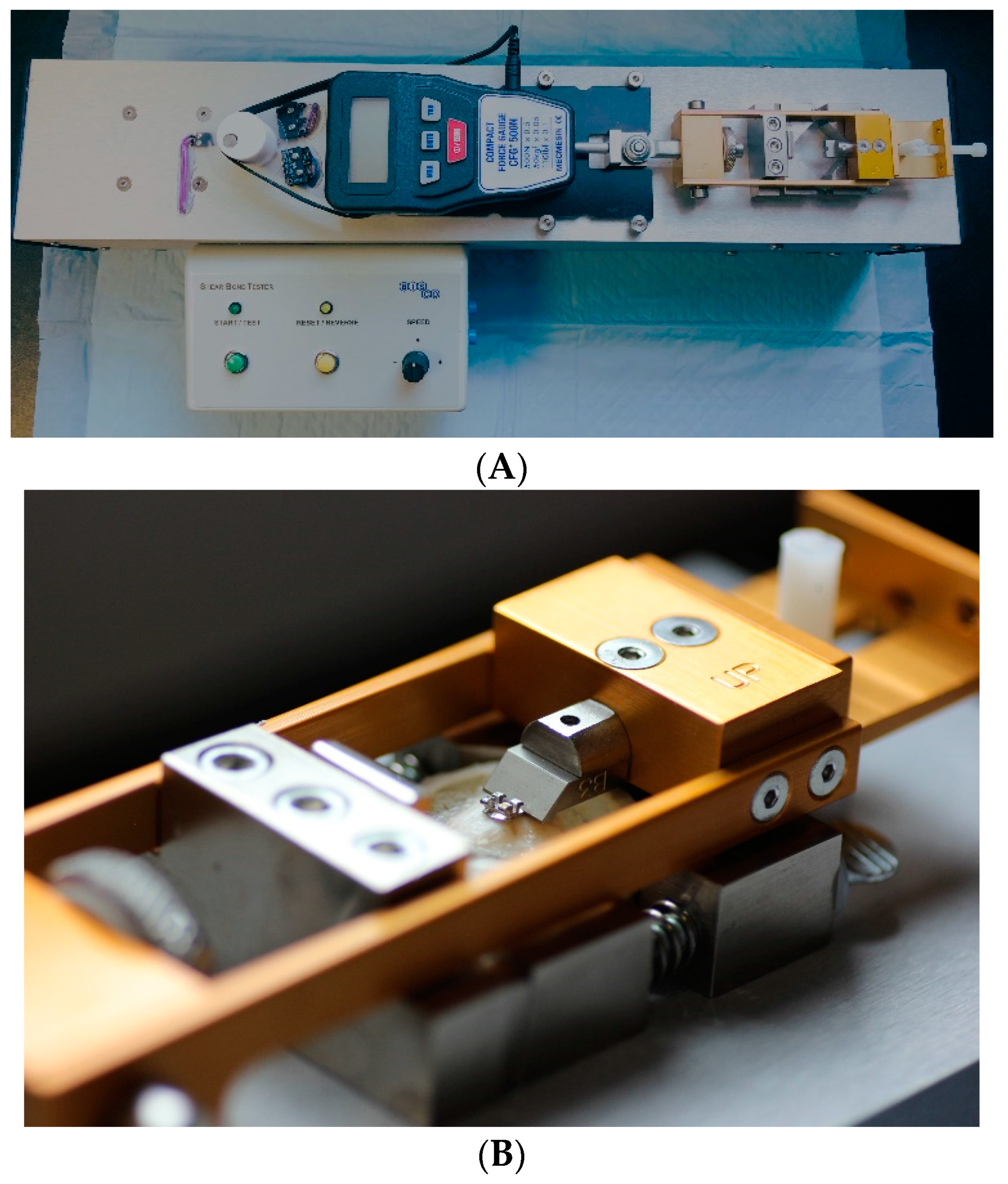 Applsci 14 00924 g002