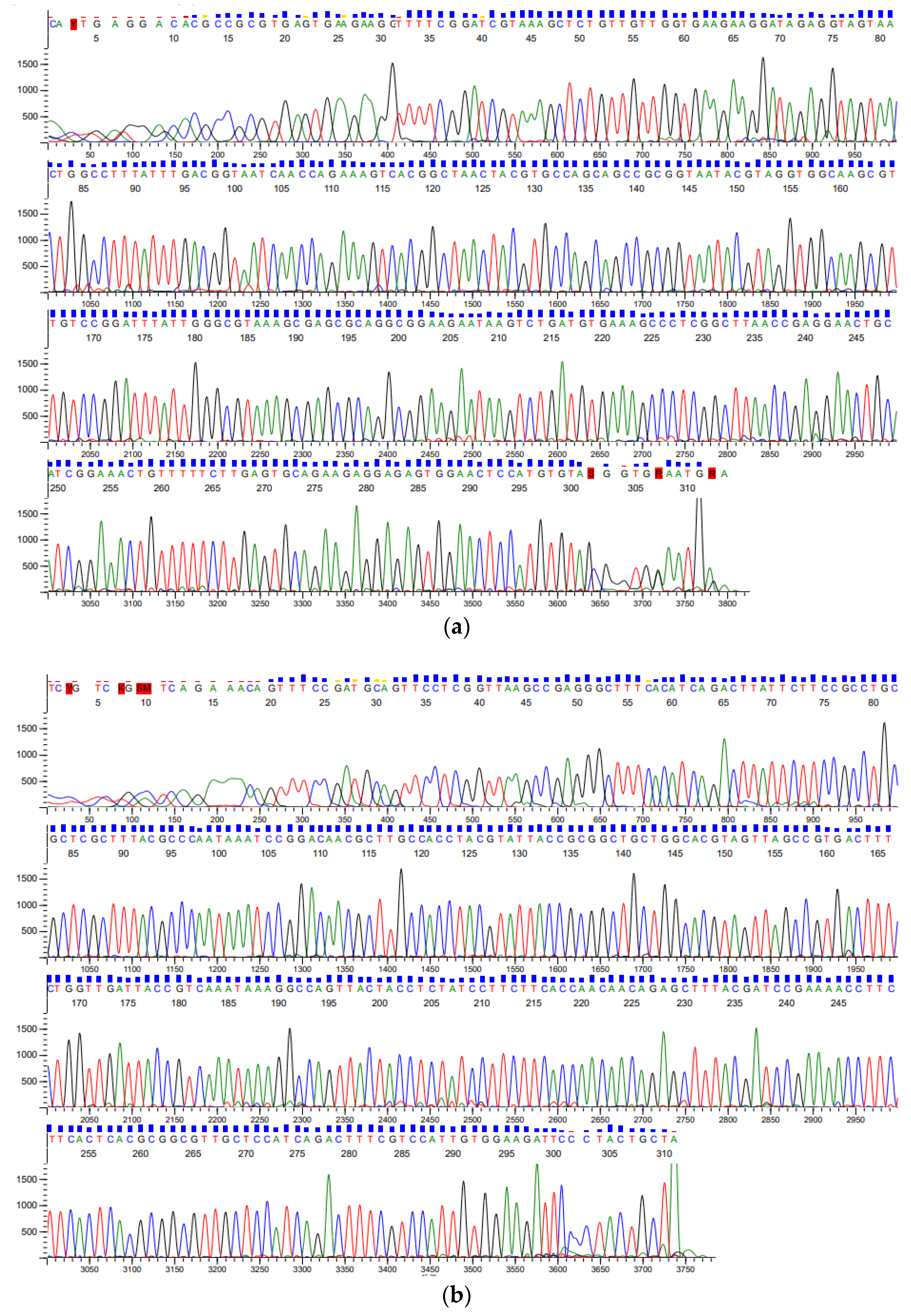 Applsci 14 00951 g003