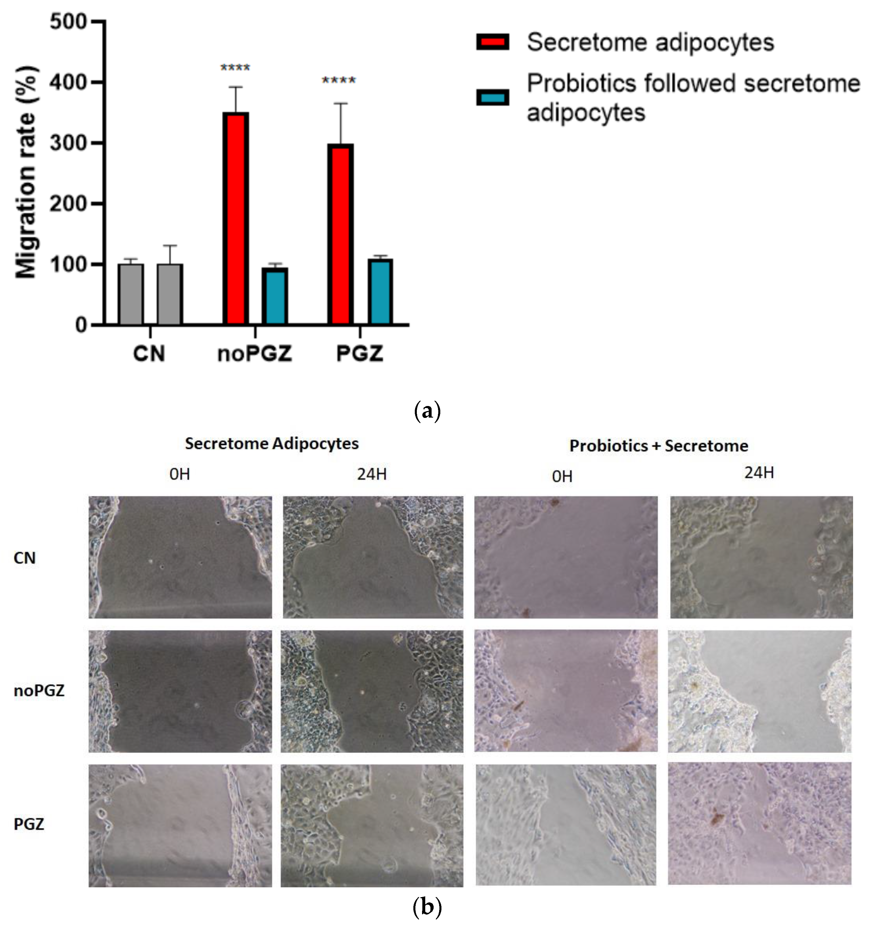 Applsci 14 00951 g005