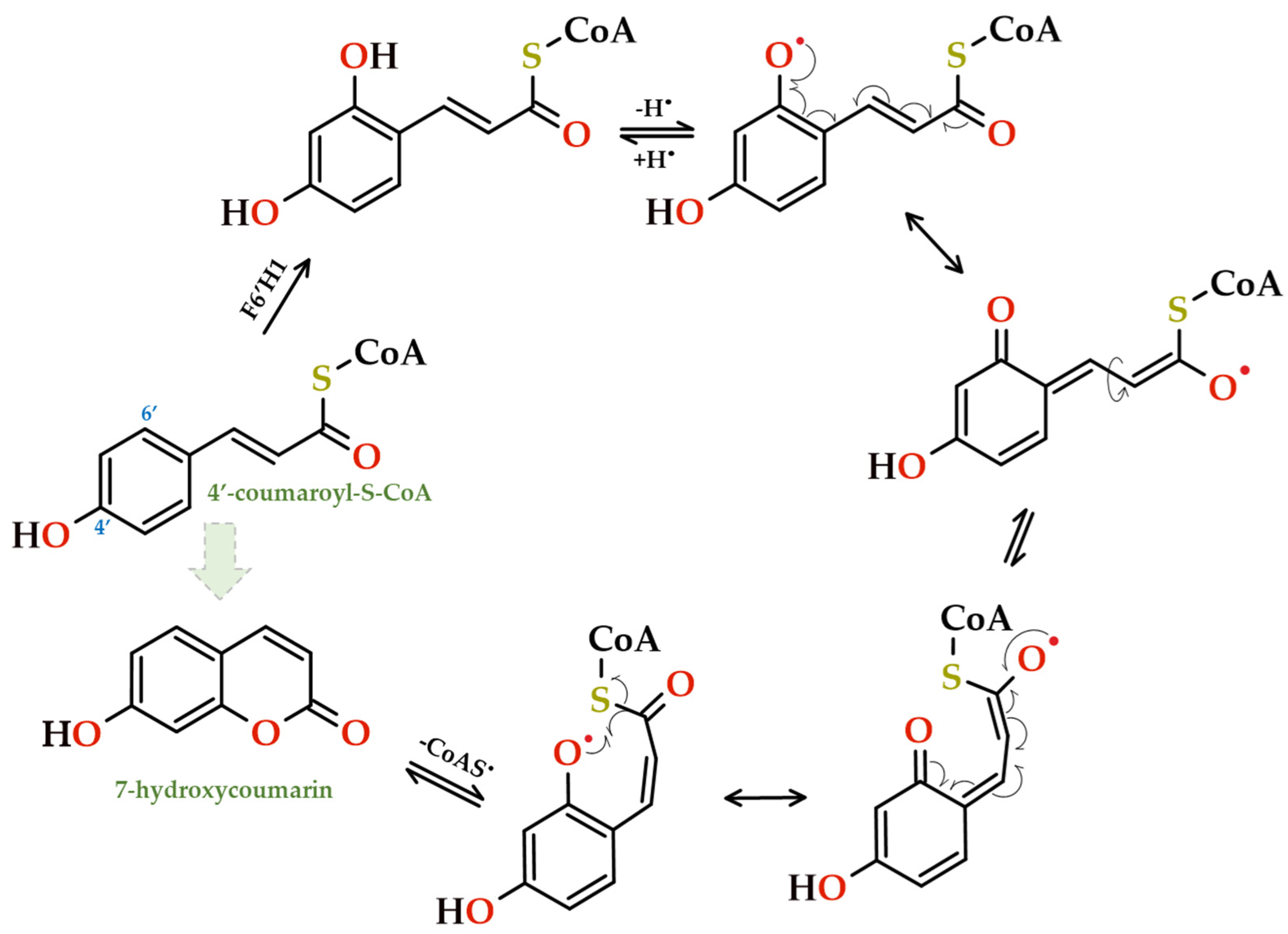 Applsci 14 01010 g011