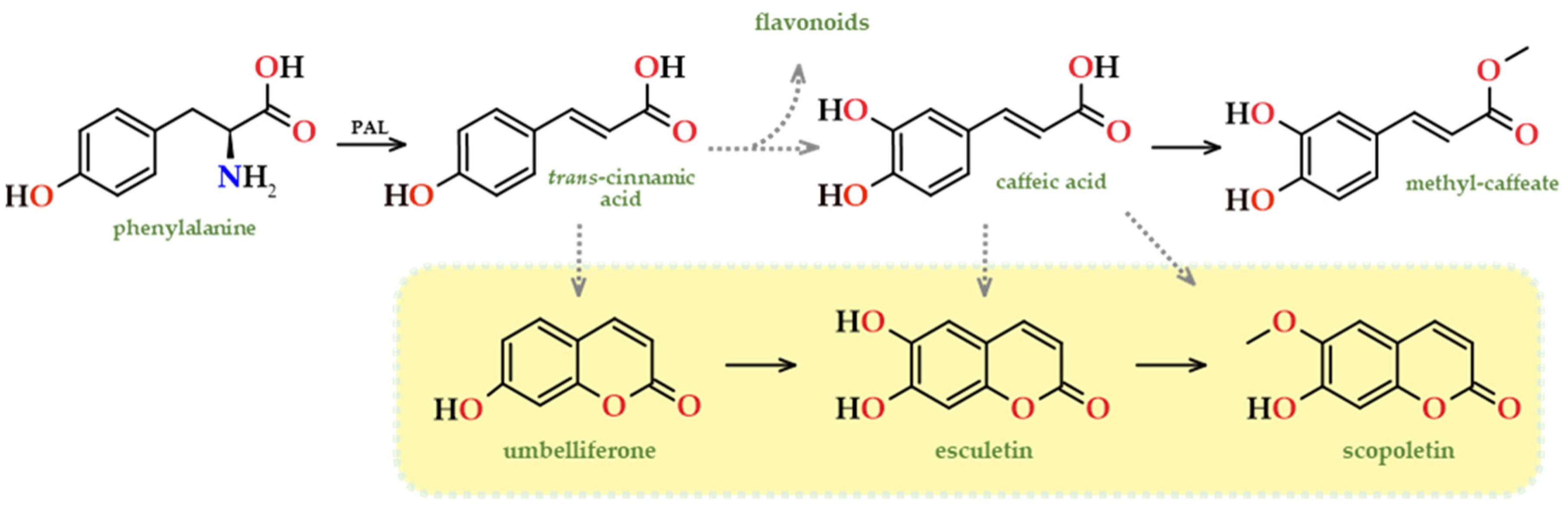 Applsci 14 01010 g012