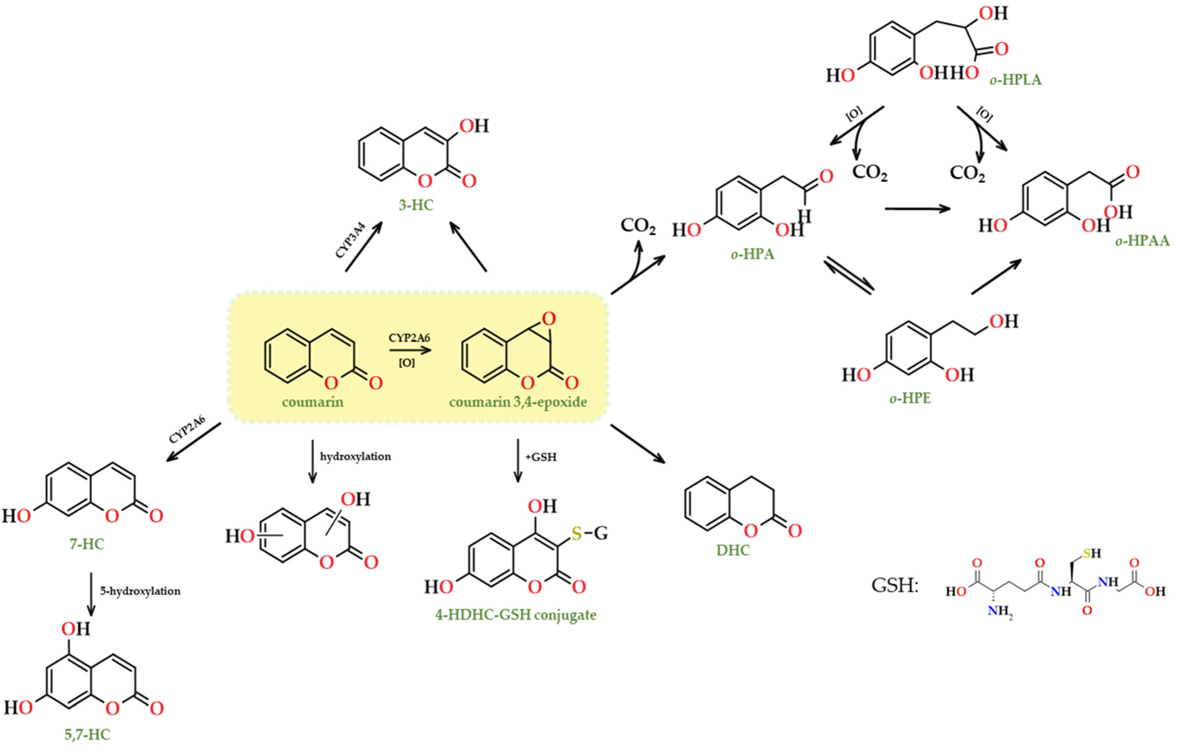 Applsci 14 01010 g015