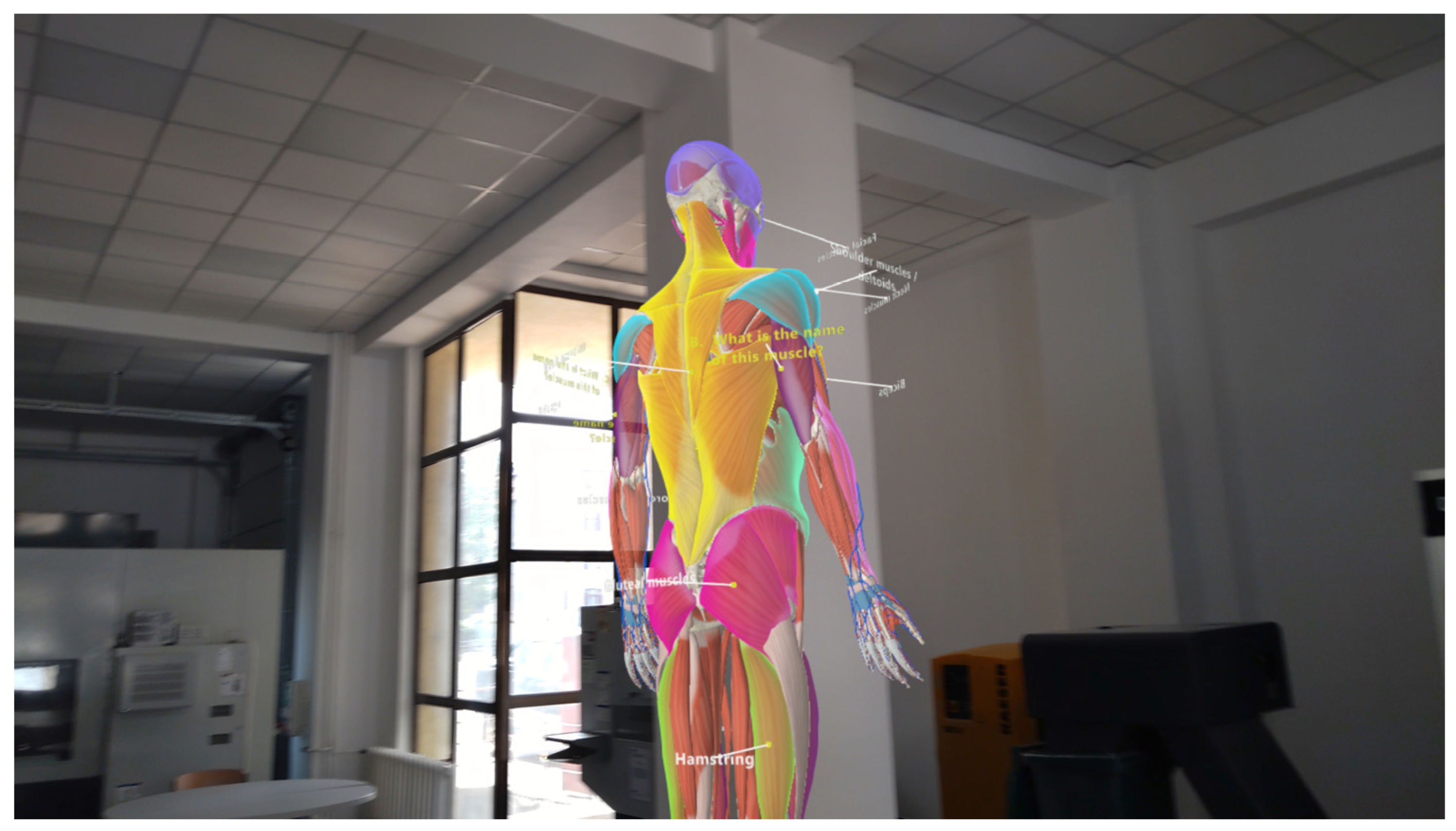 Applsci 14 01050 g003