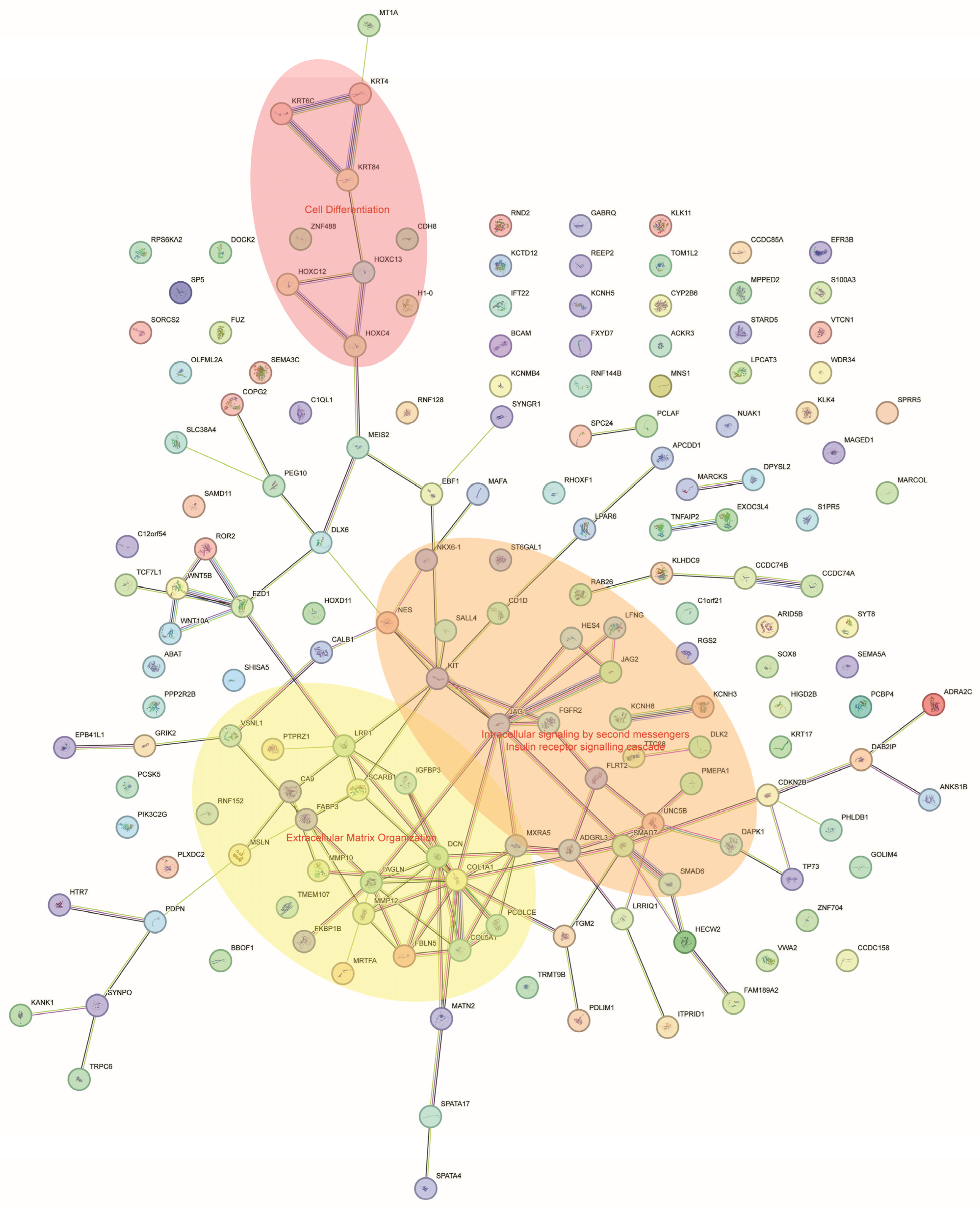 Applsci 14 01052 g005
