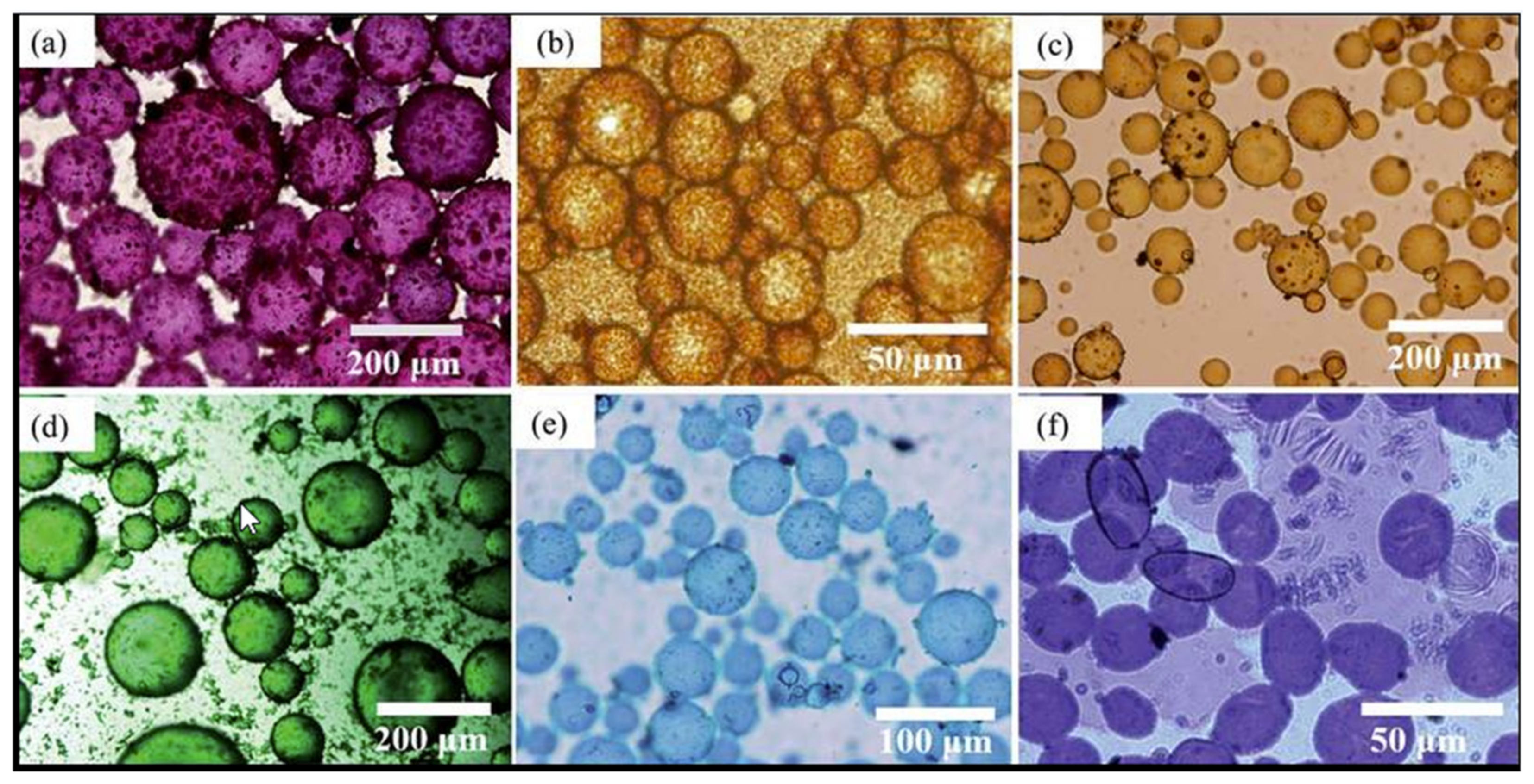 Applsci 14 01069 g004