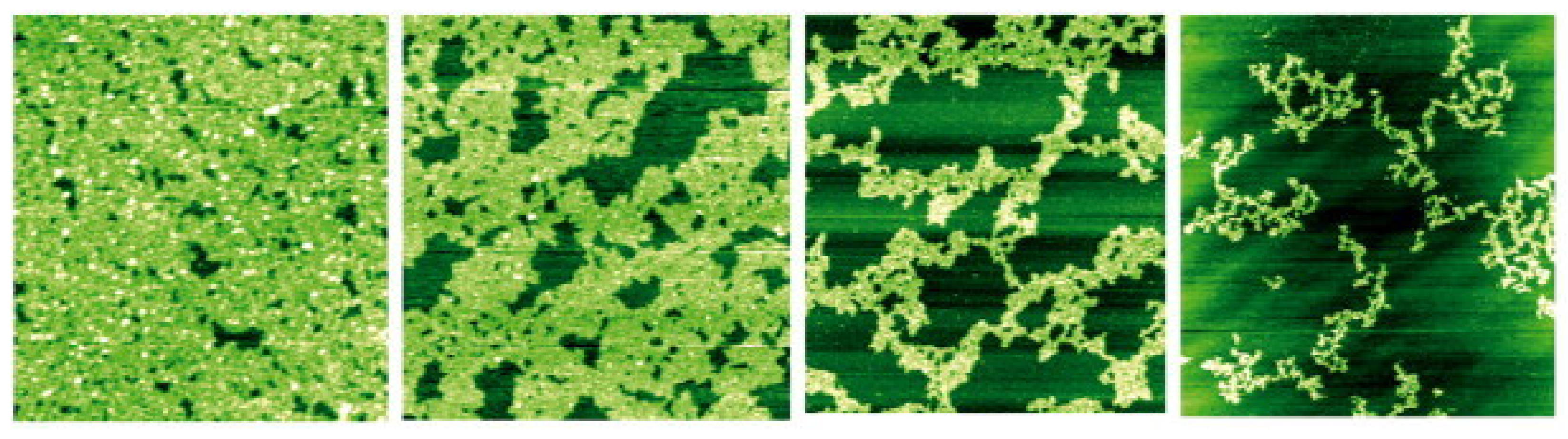 Applsci 14 01069 g007