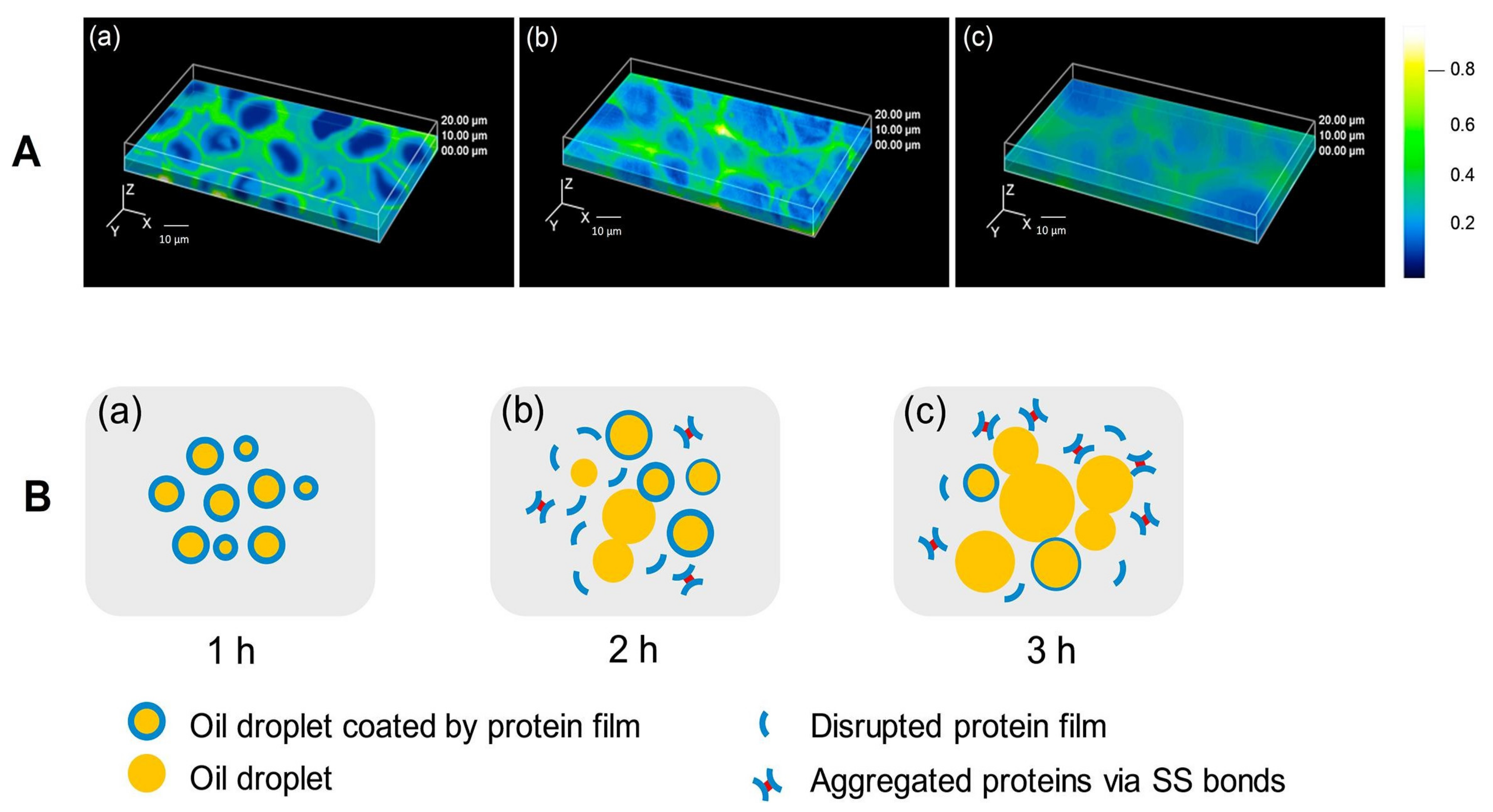 Applsci 14 01069 g013