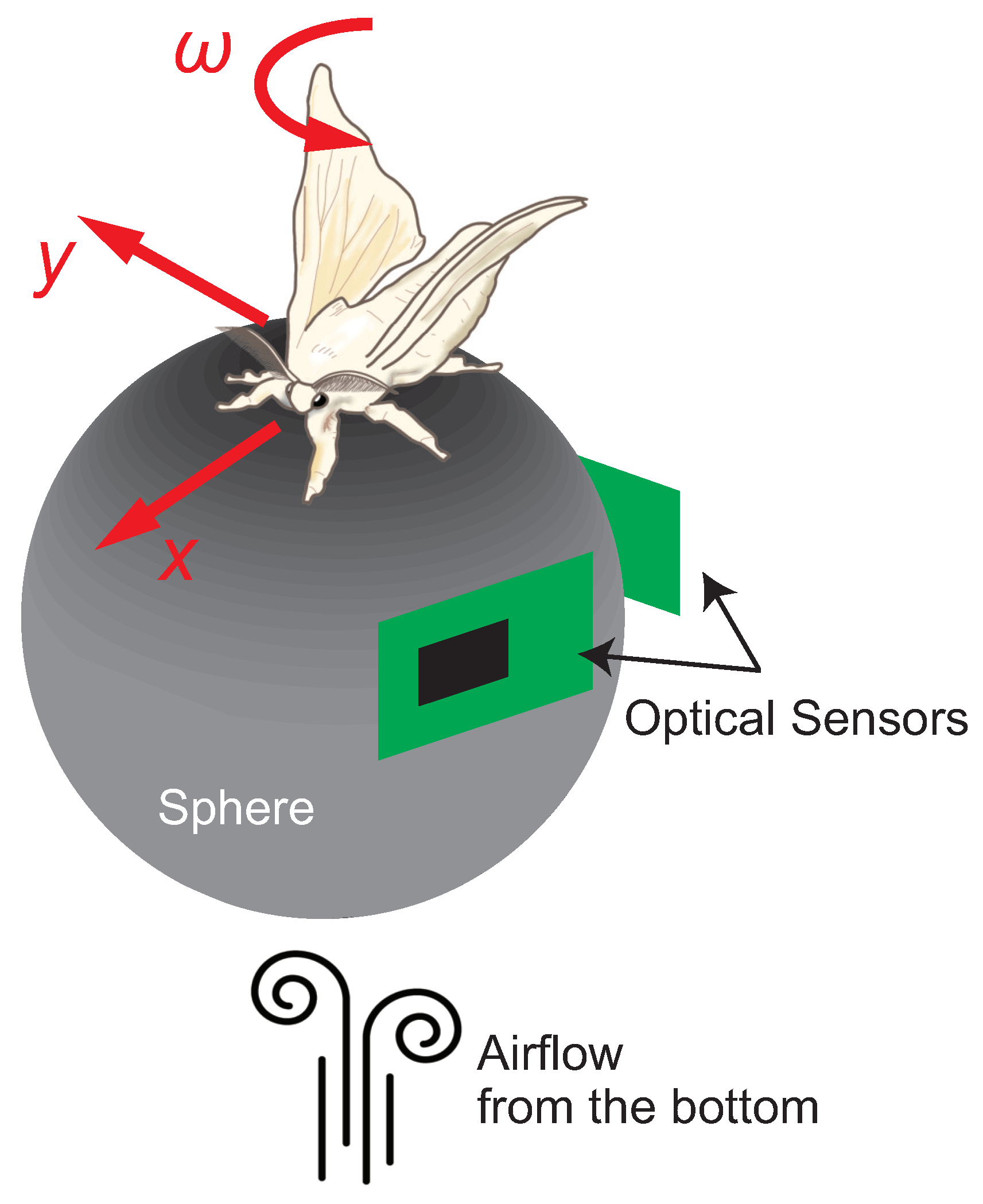 Applsci 14 01139 g003