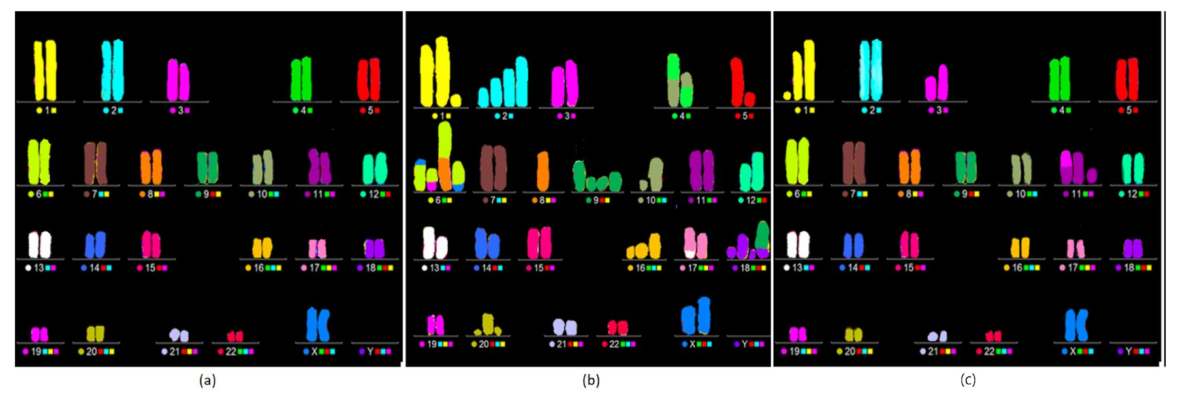 Applsci 14 01171 g005 Applsci 14 01171 g005