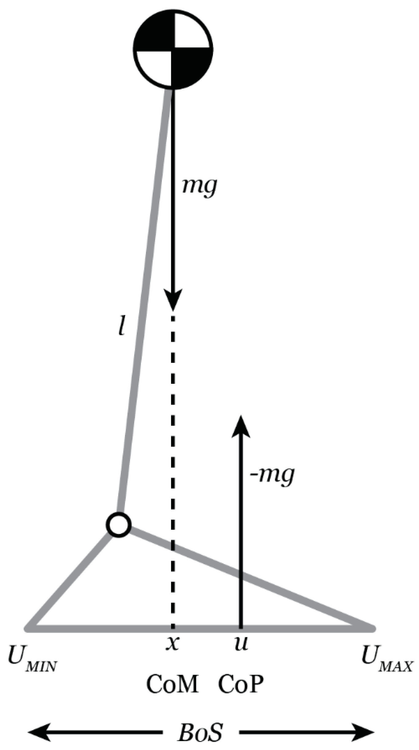 Orientation-matched views of the inverted-T reduction patient with