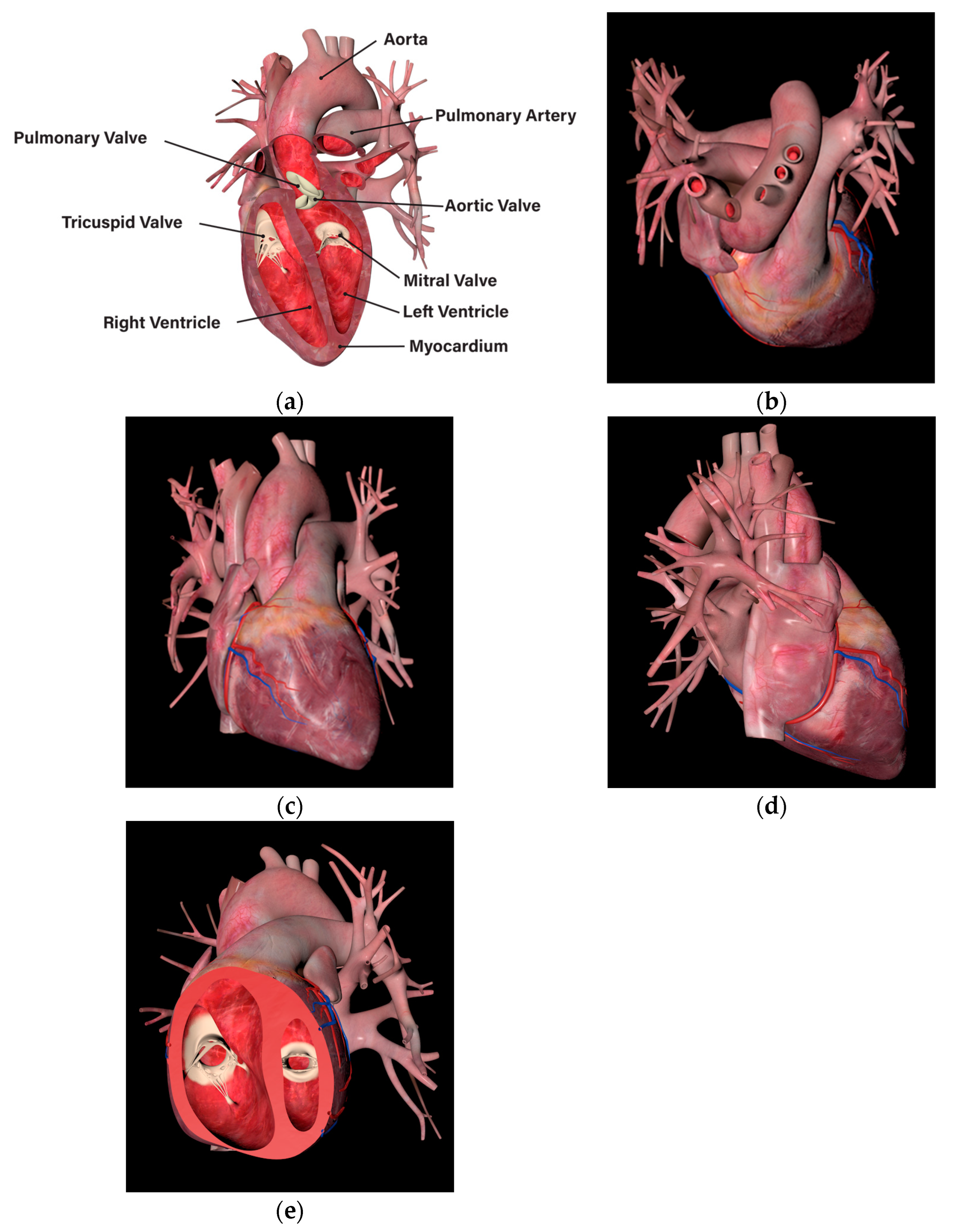 Applsci 14 01272 g009
