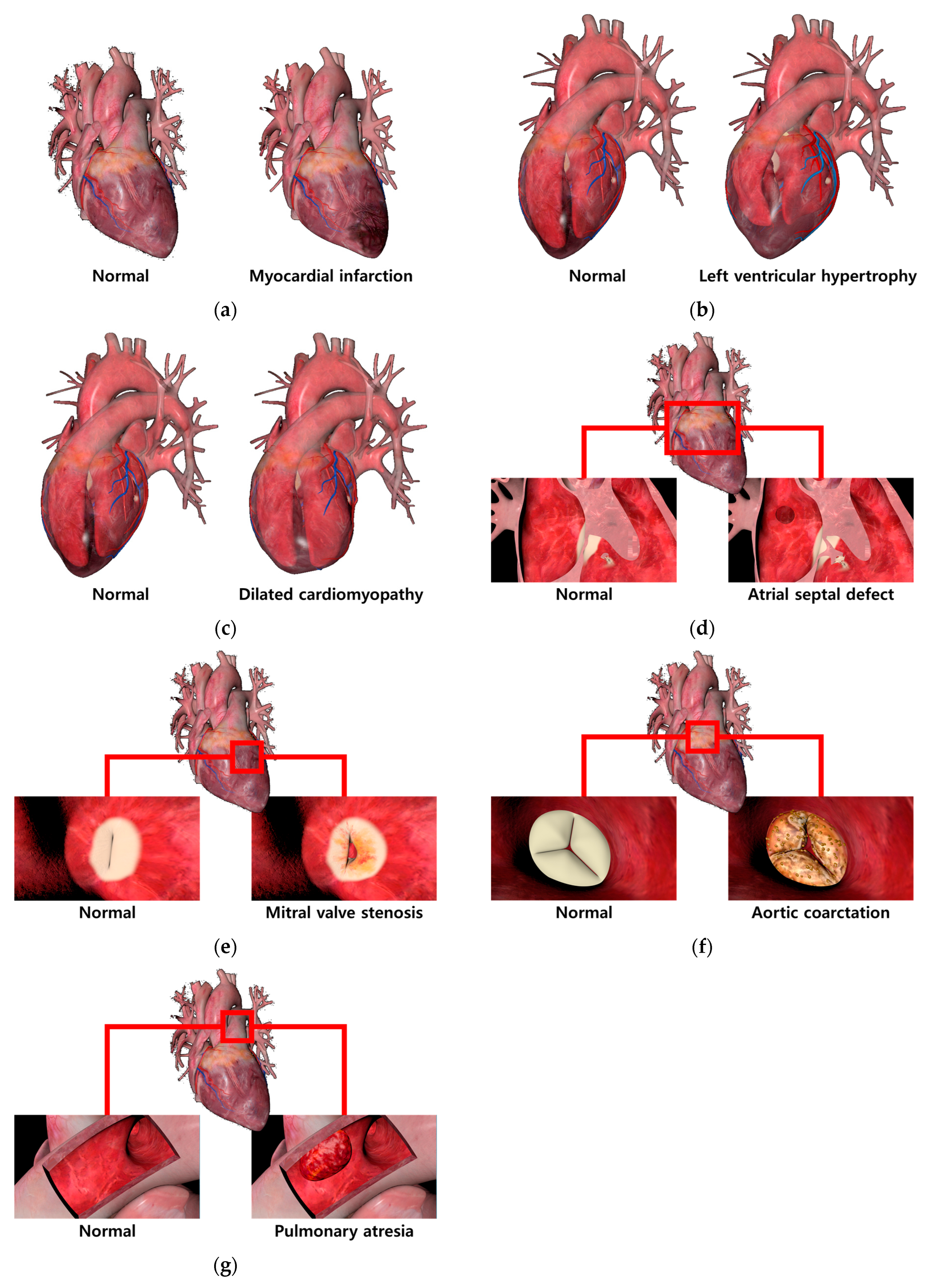 Applsci 14 01272 g010