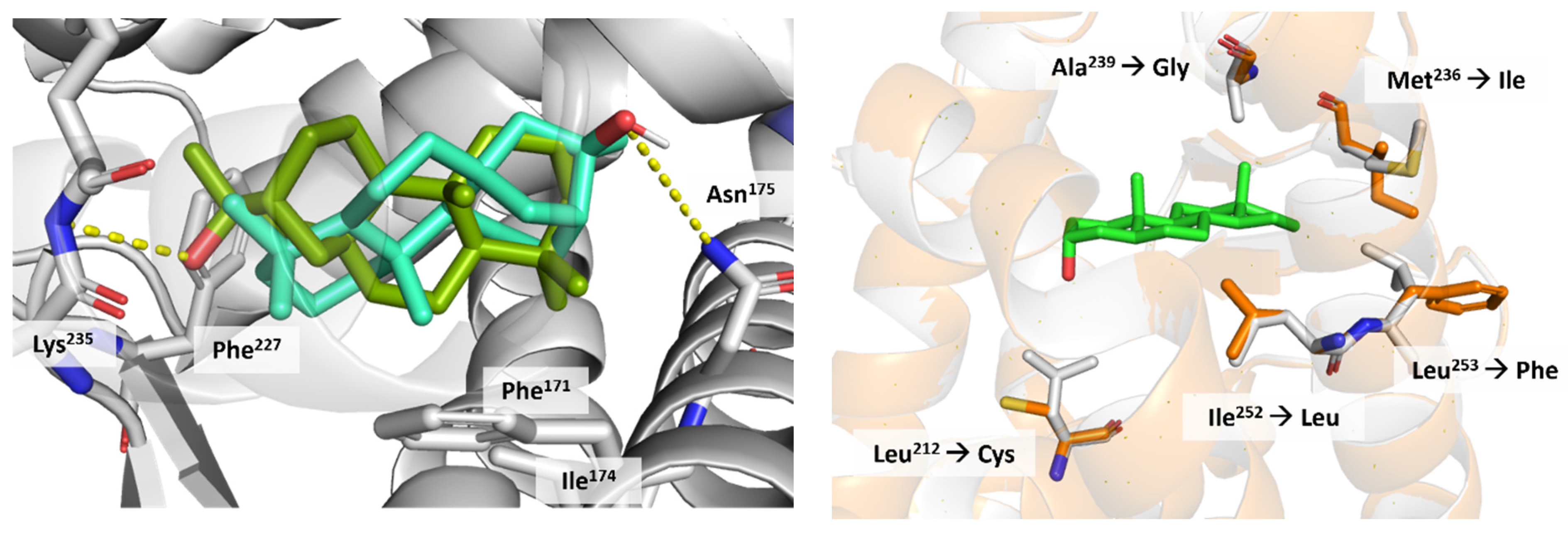 Applsci 14 01274 g010