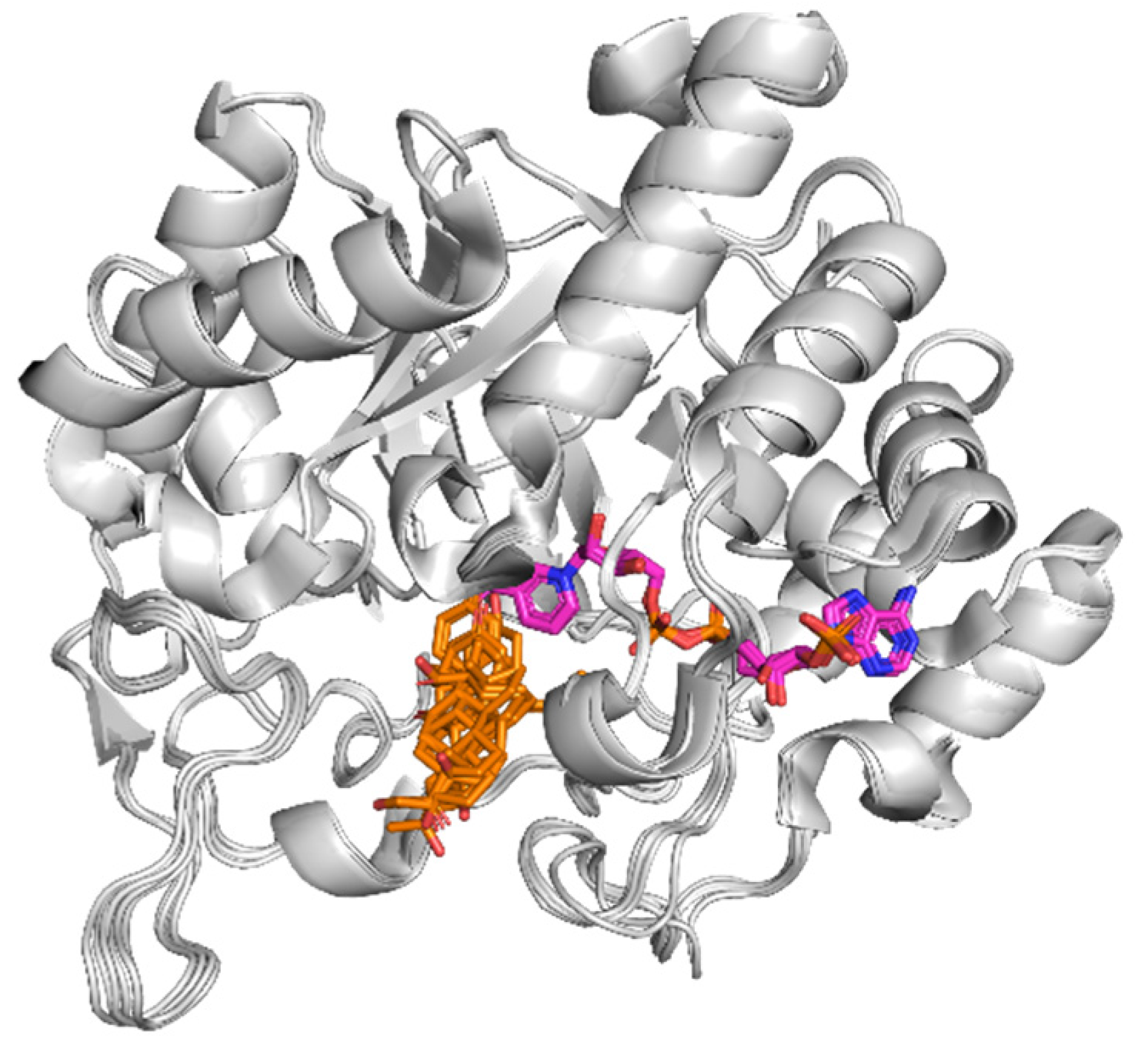 Applied Sciences | Free Full-Text | Phytochemical Exploration of