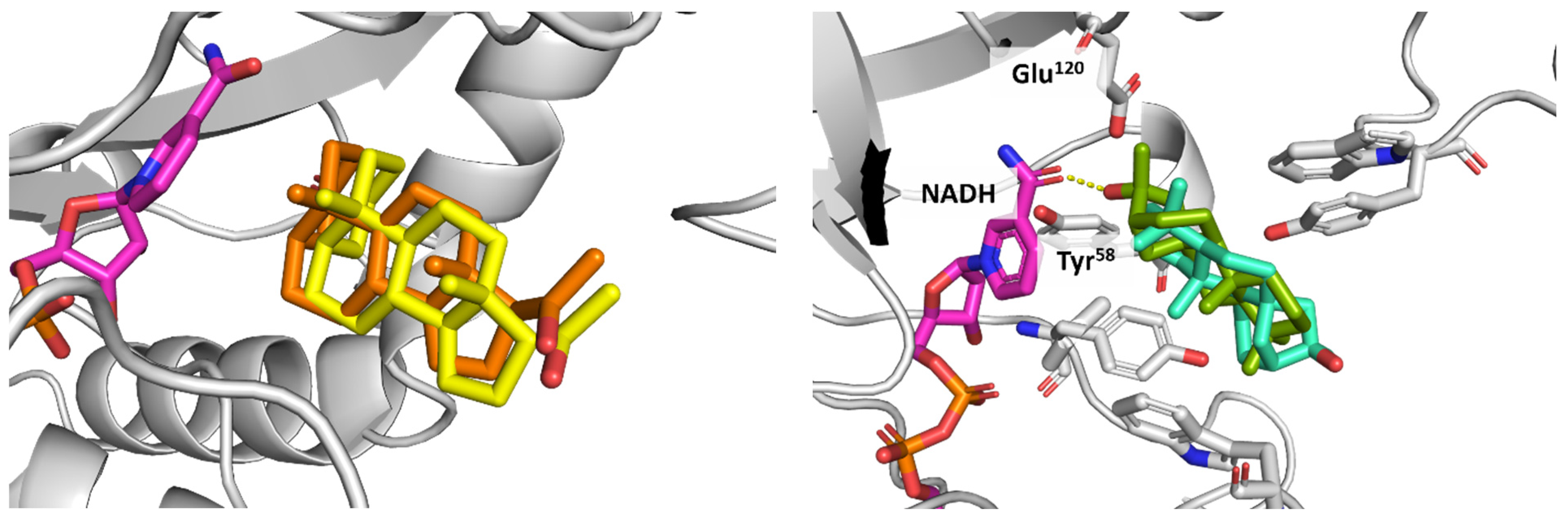 Applsci 14 01274 g014