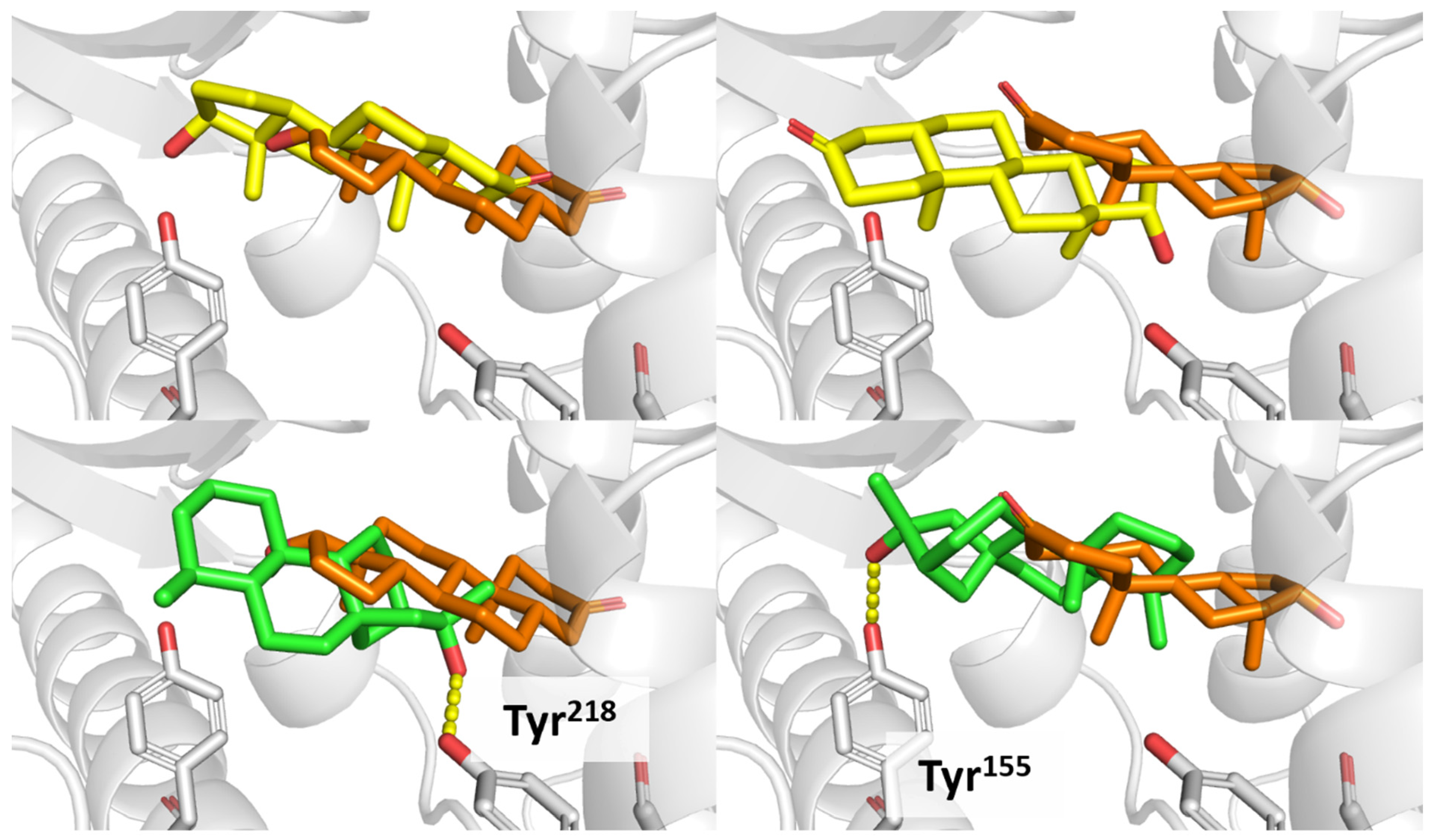 Applsci 14 01274 g017