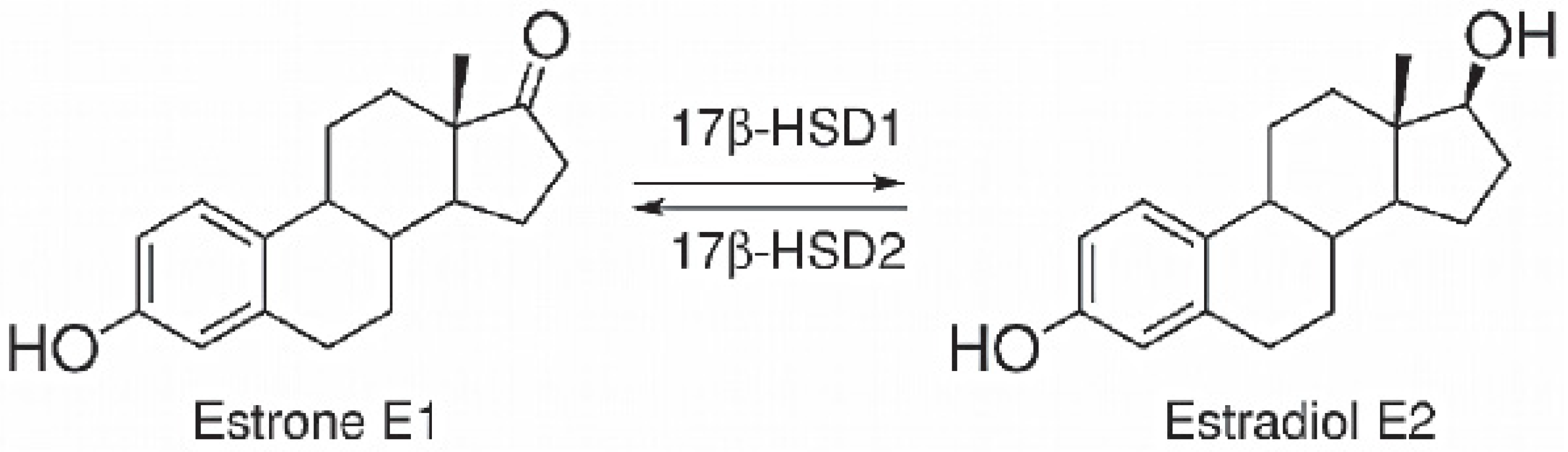 Applsci 14 01274 g018