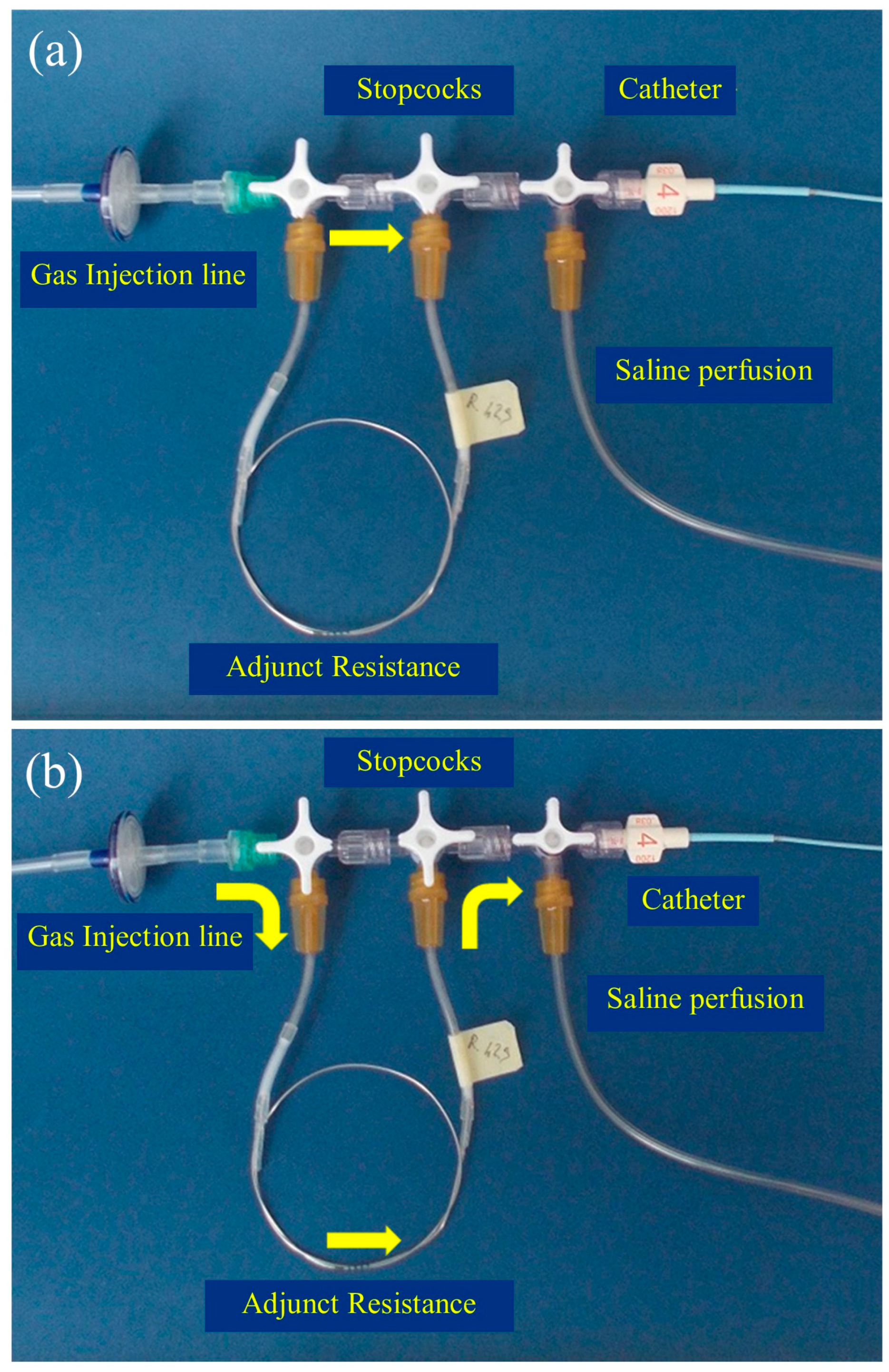 Applsci 14 01276 g002