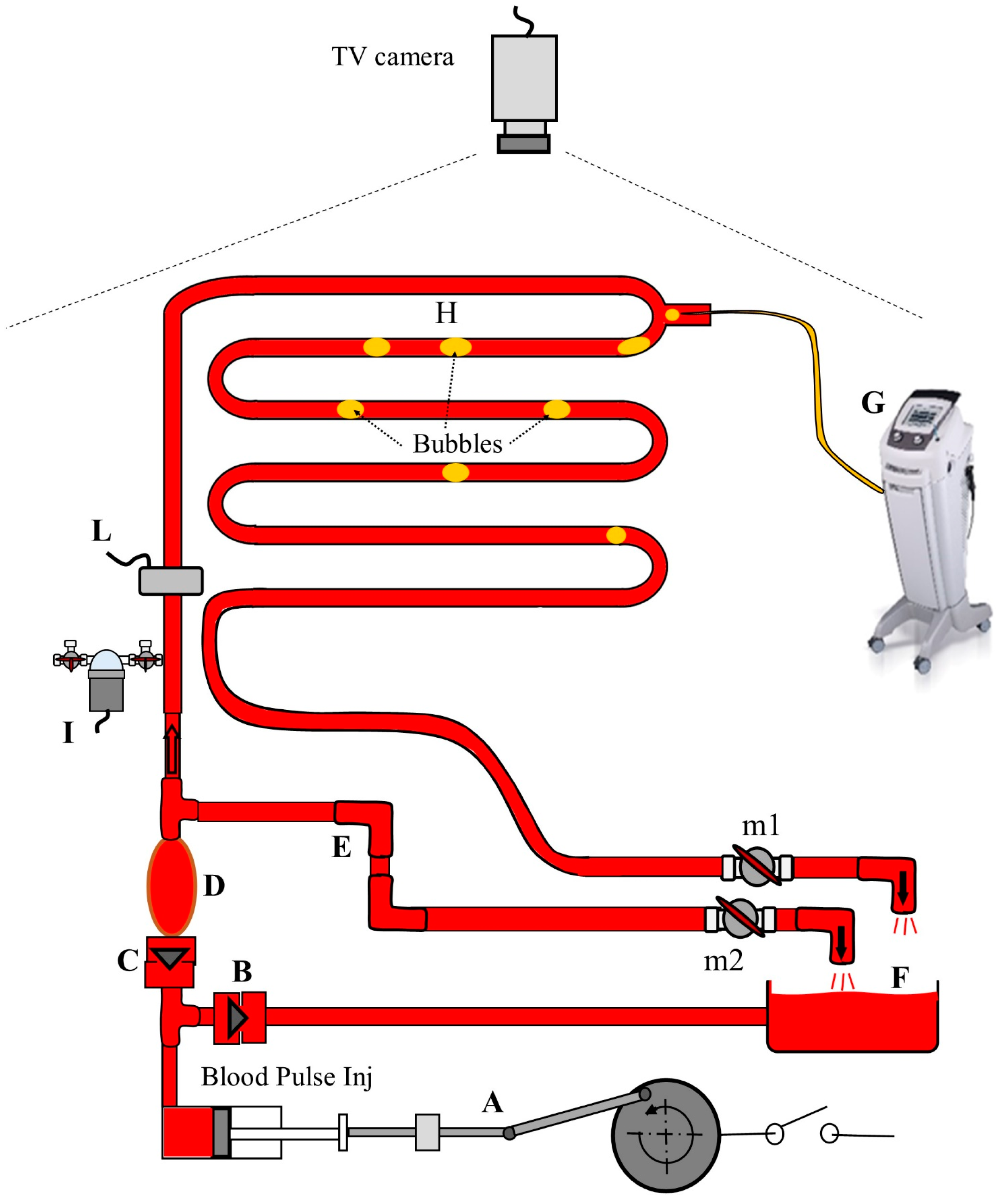 Applsci 14 01276 g003