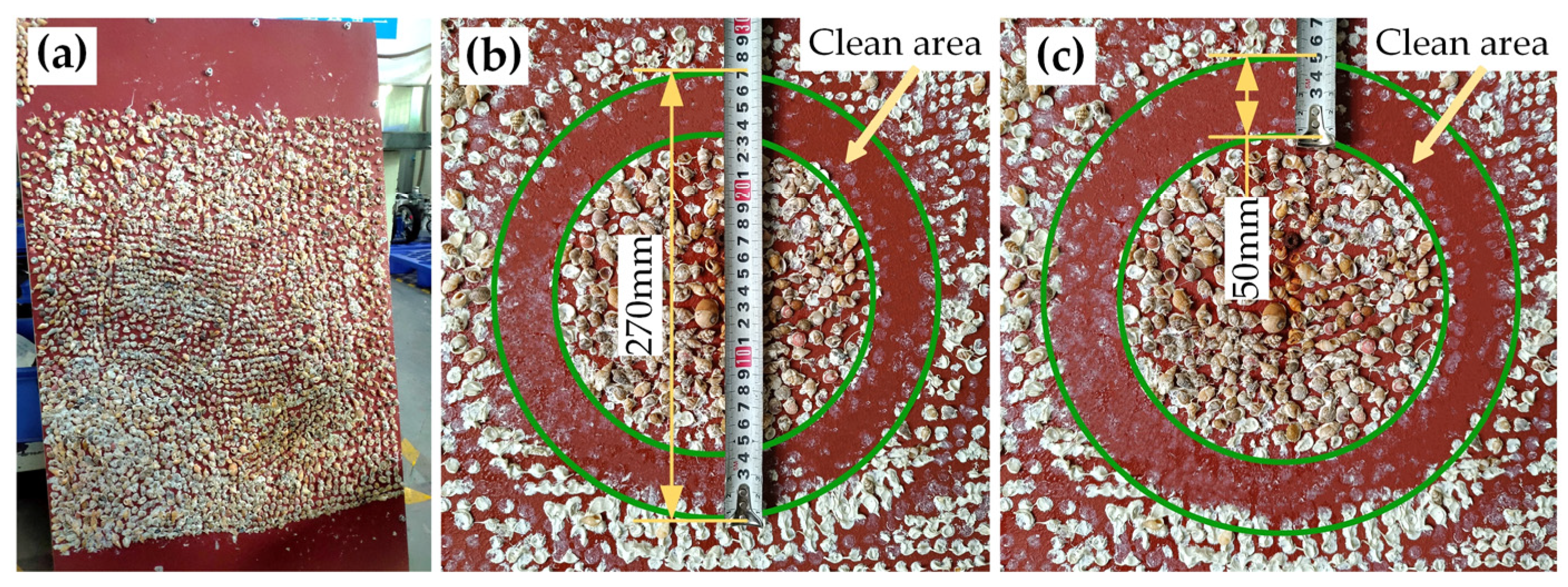 Applsci 14 01433 g012