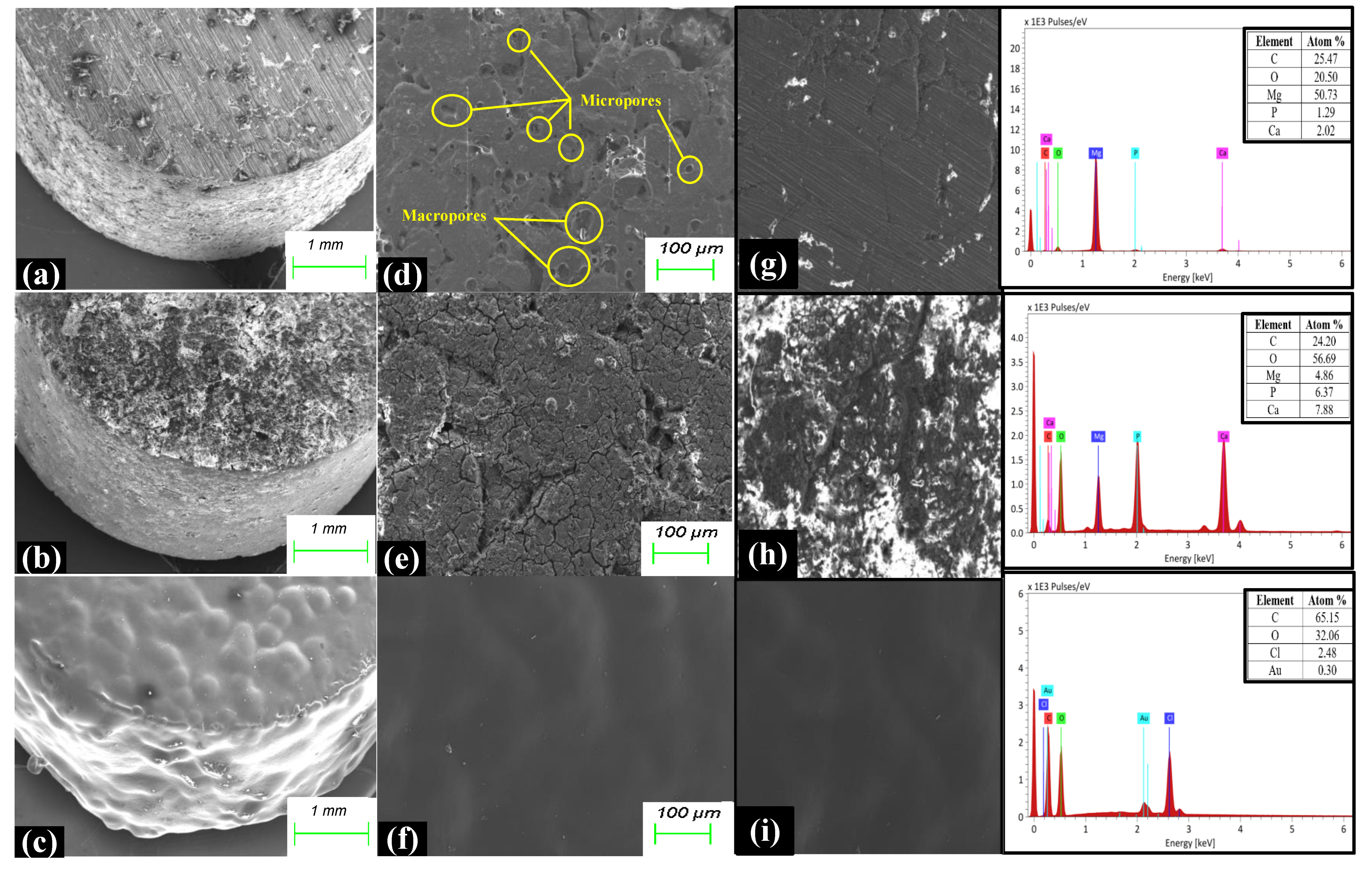 Applsci 14 01512 g002