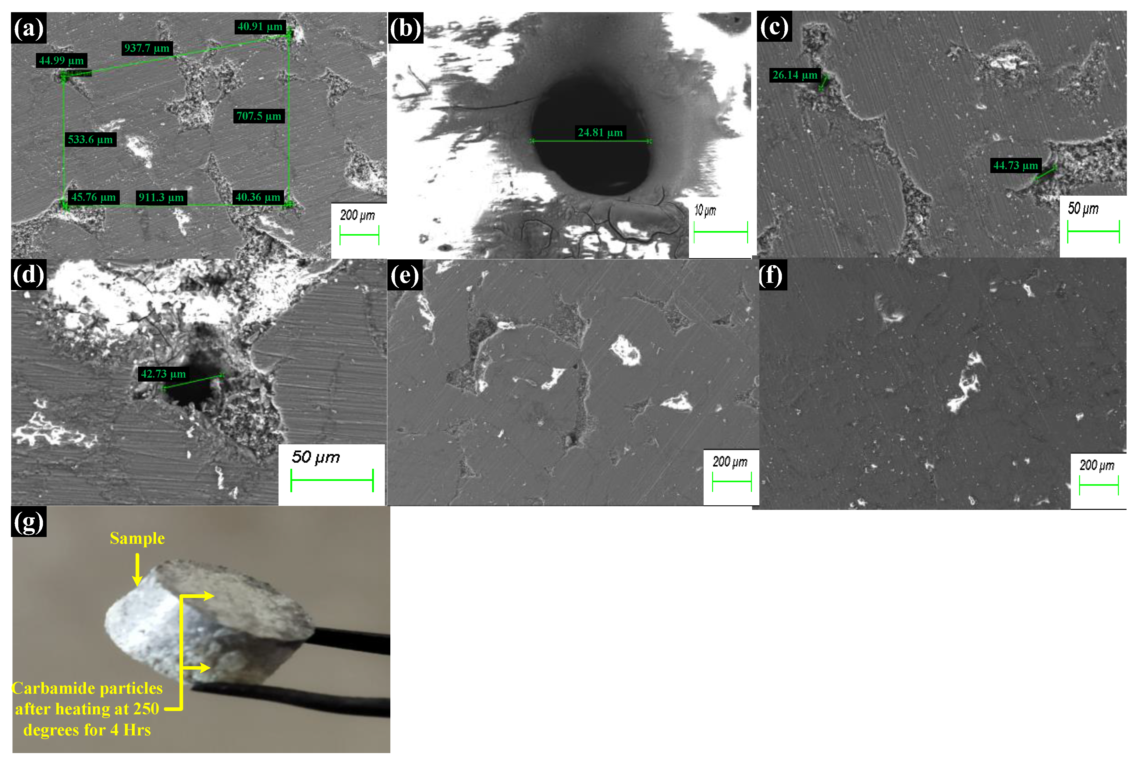 Applsci 14 01512 g004