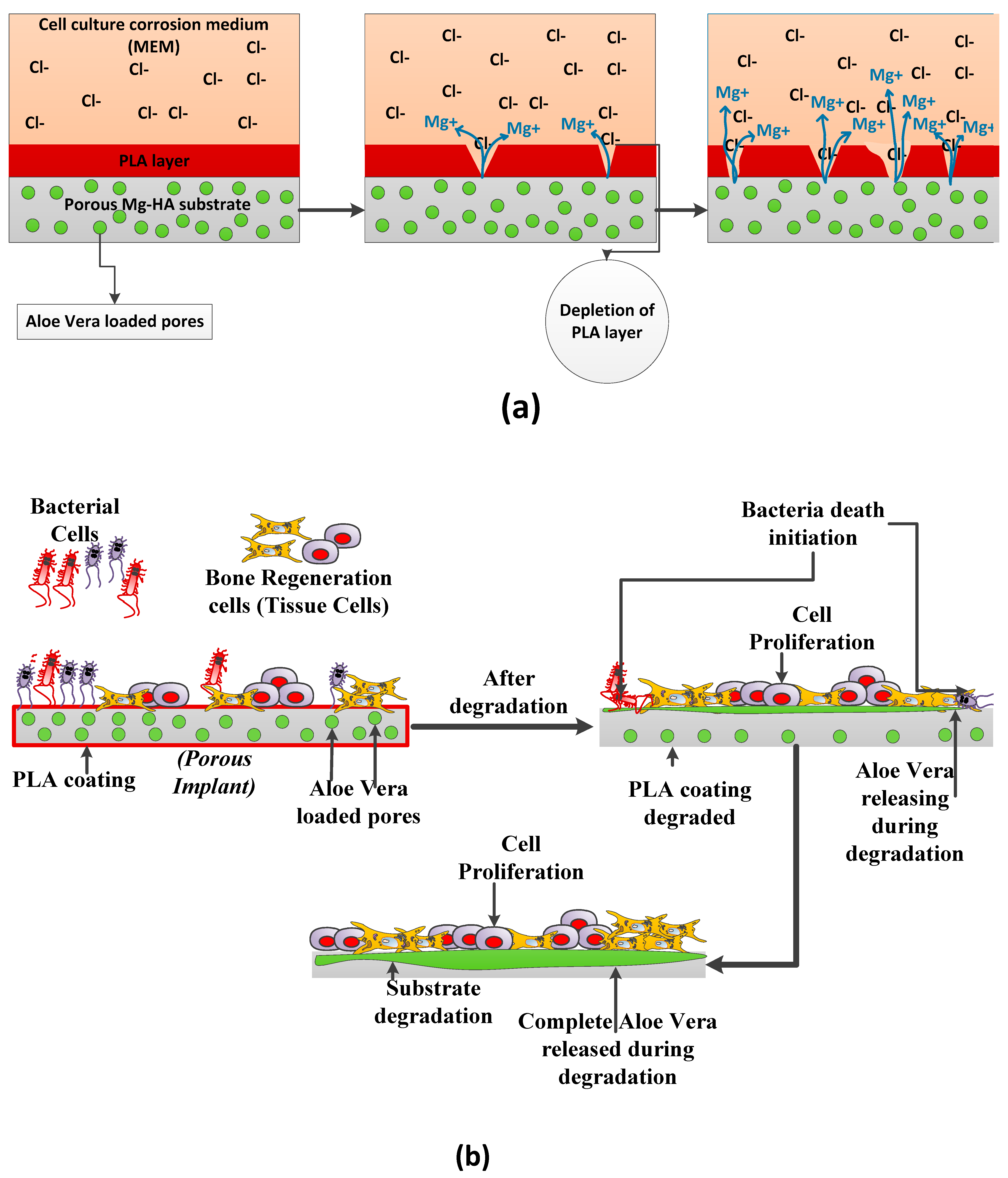 Applsci 14 01512 g011