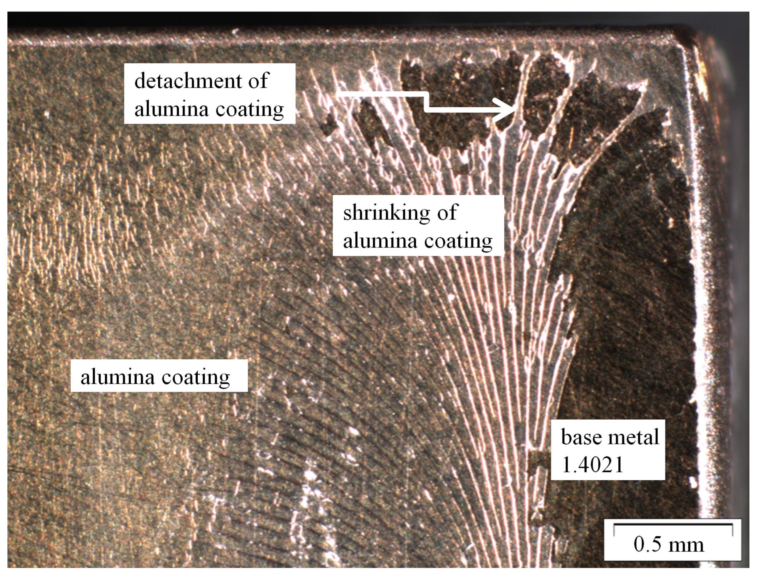 Applsci 14 01575 g003