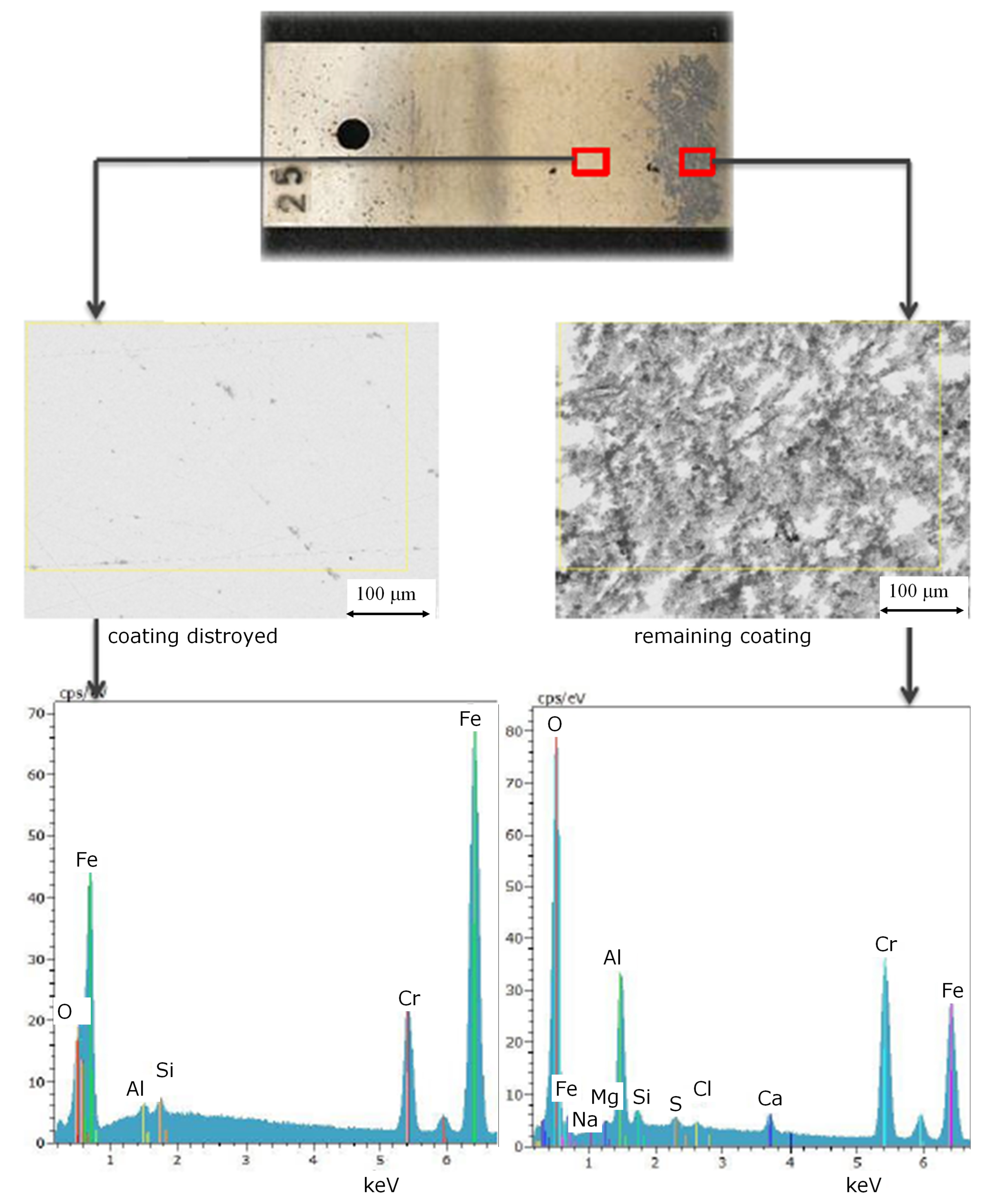 Applsci 14 01575 g004