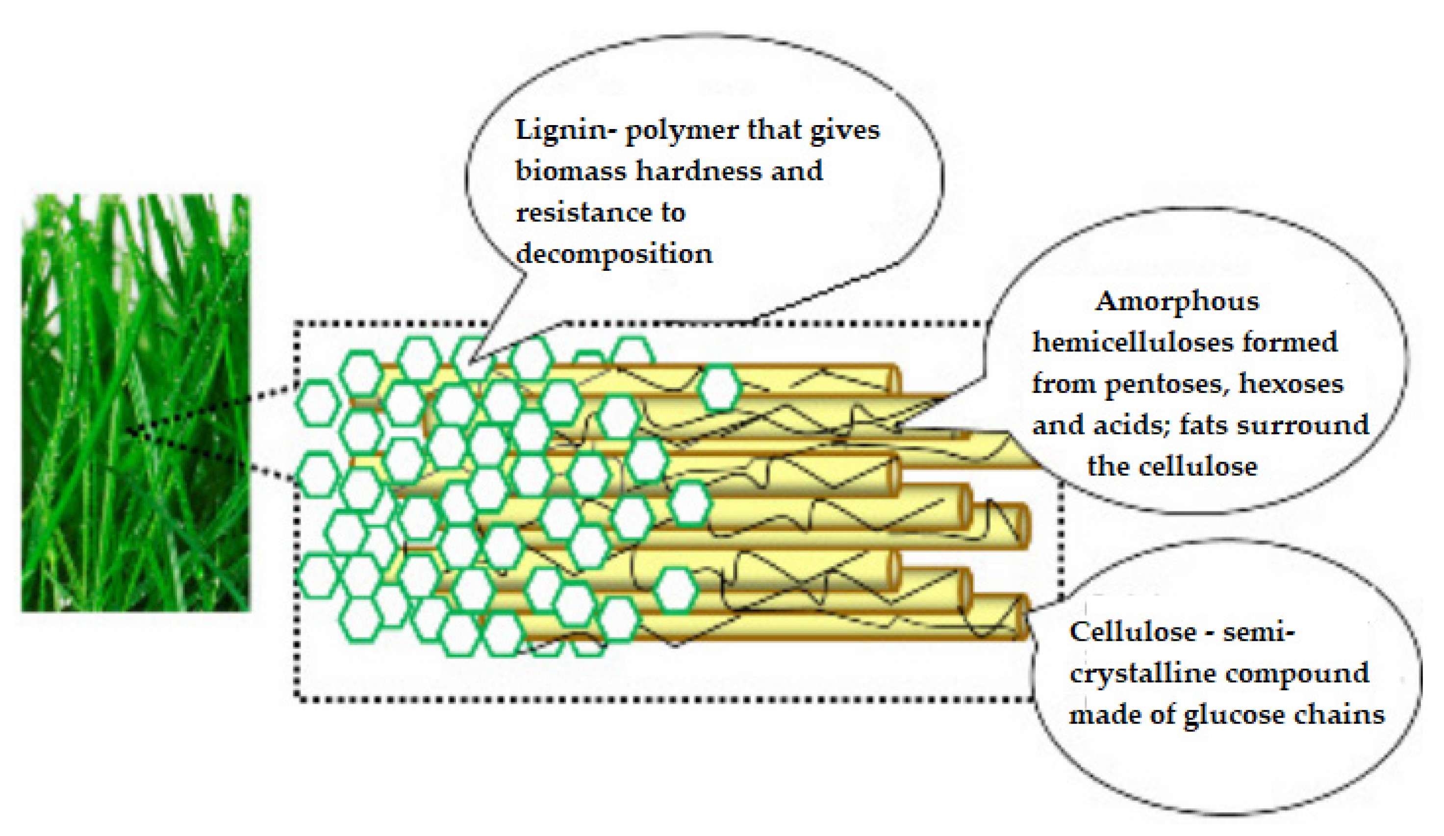 Applsci 14 01612 g004