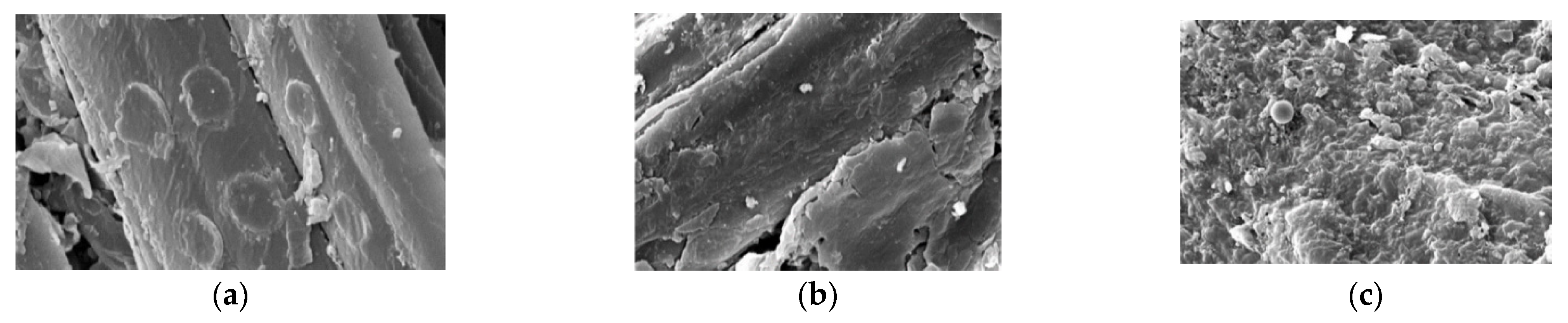 Applsci 14 01612 g006