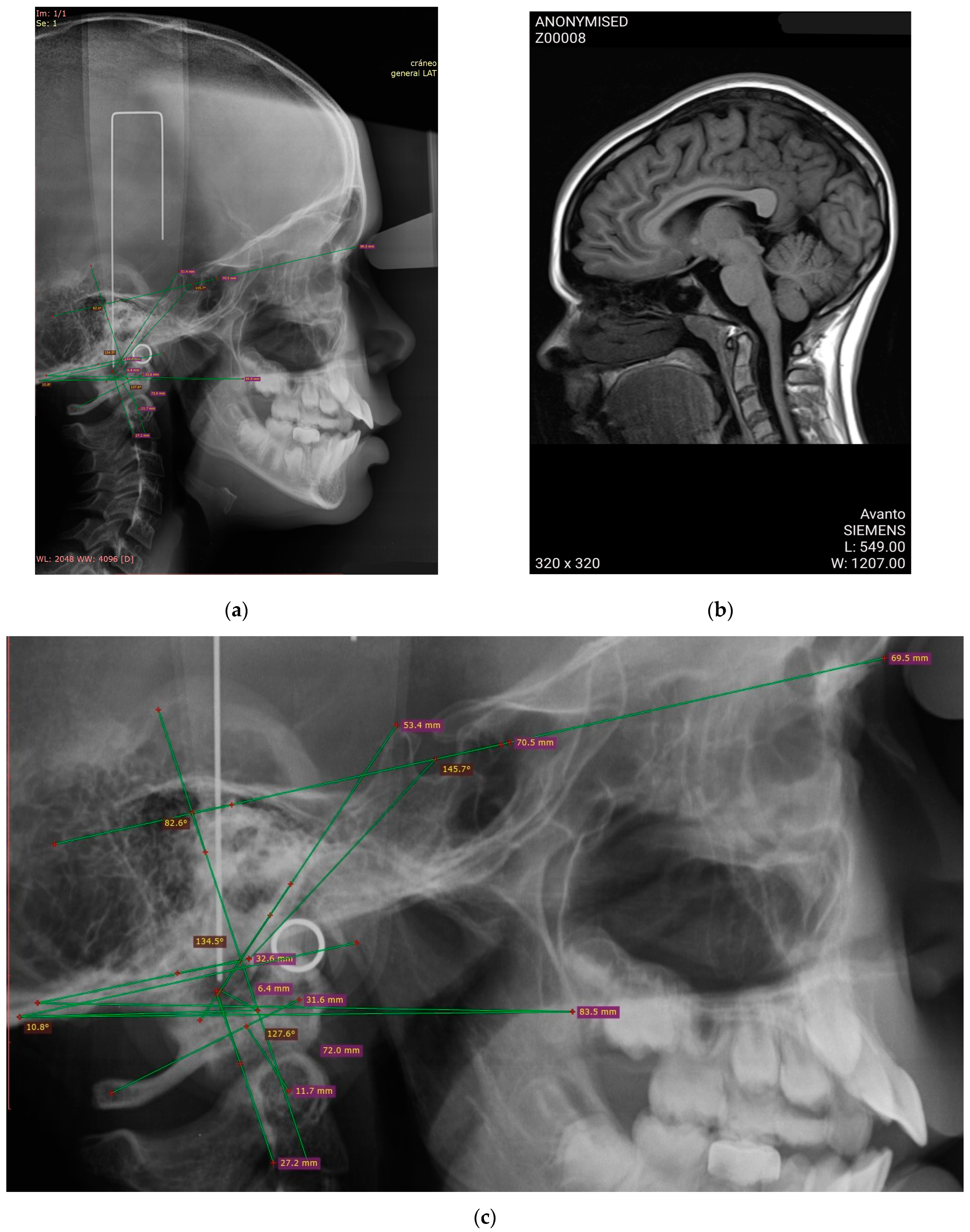 Applsci 14 01640 g001 Applsci 14 01640 g001