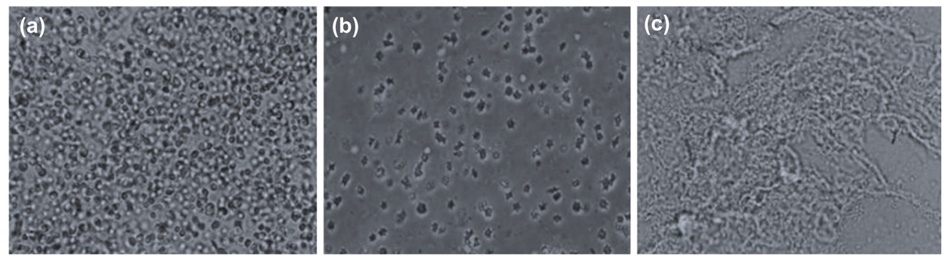 Applsci 14 01676 g003