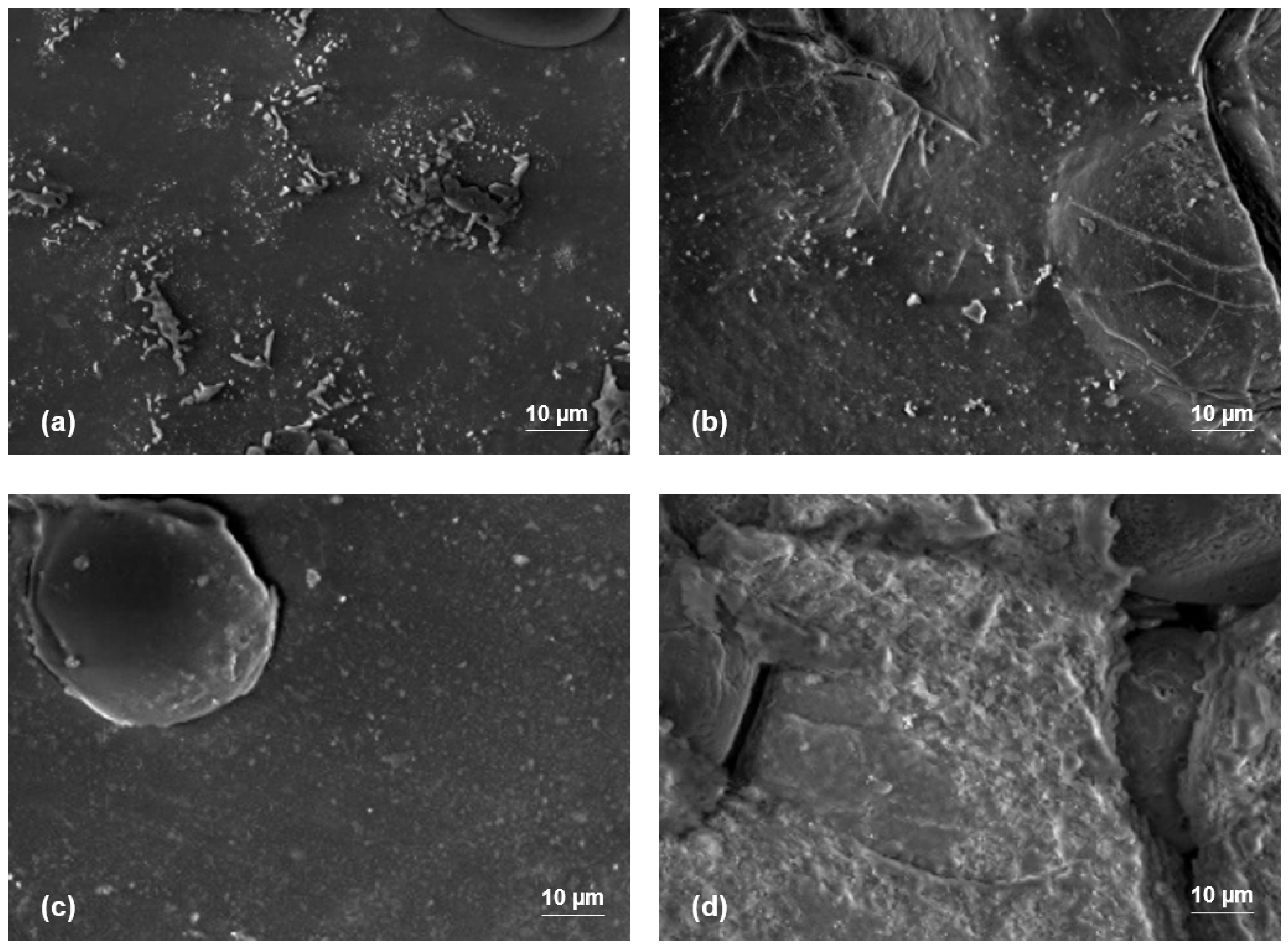 Applsci 14 01683 g007