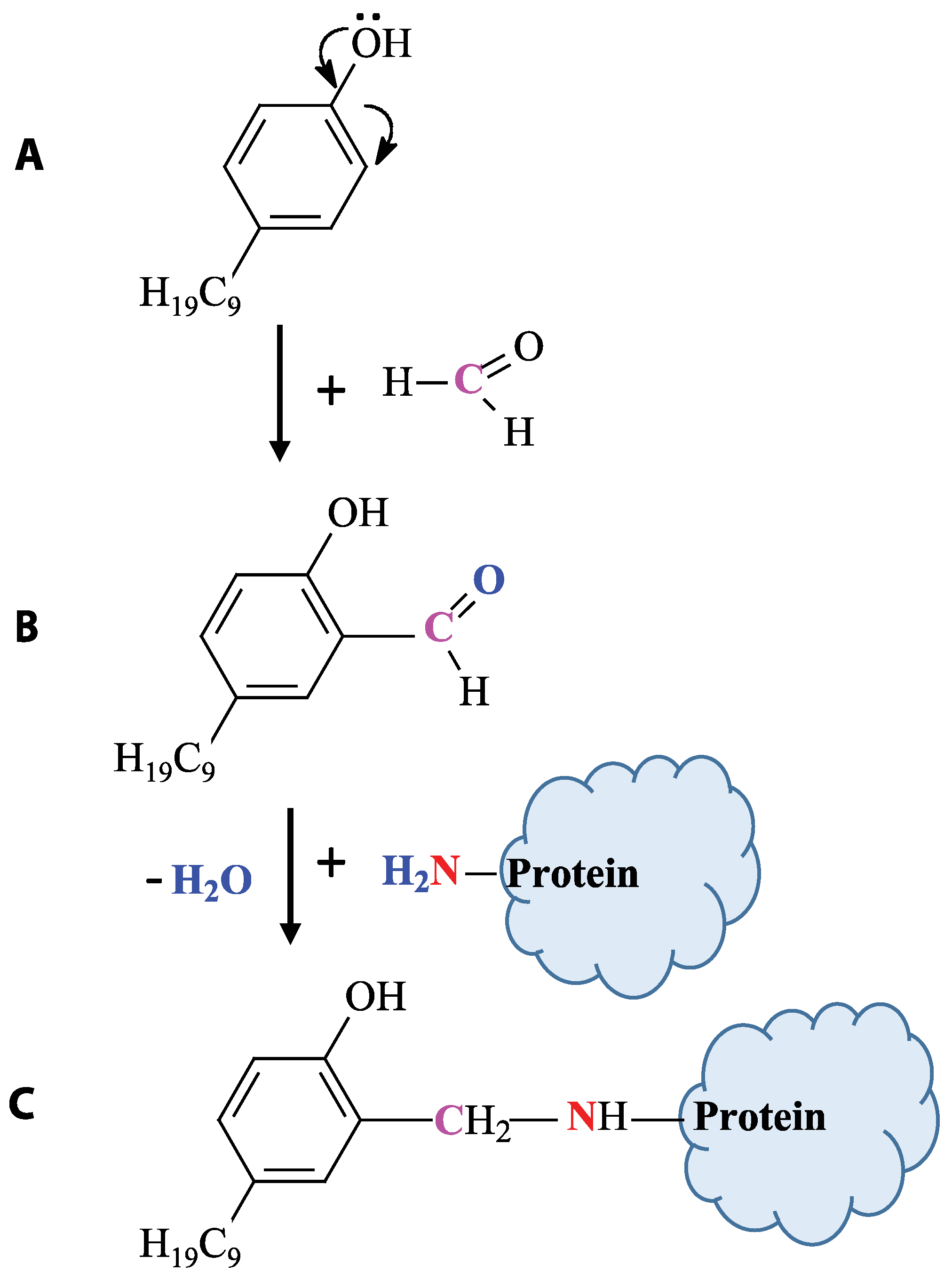 Applsci 14 01685 g001