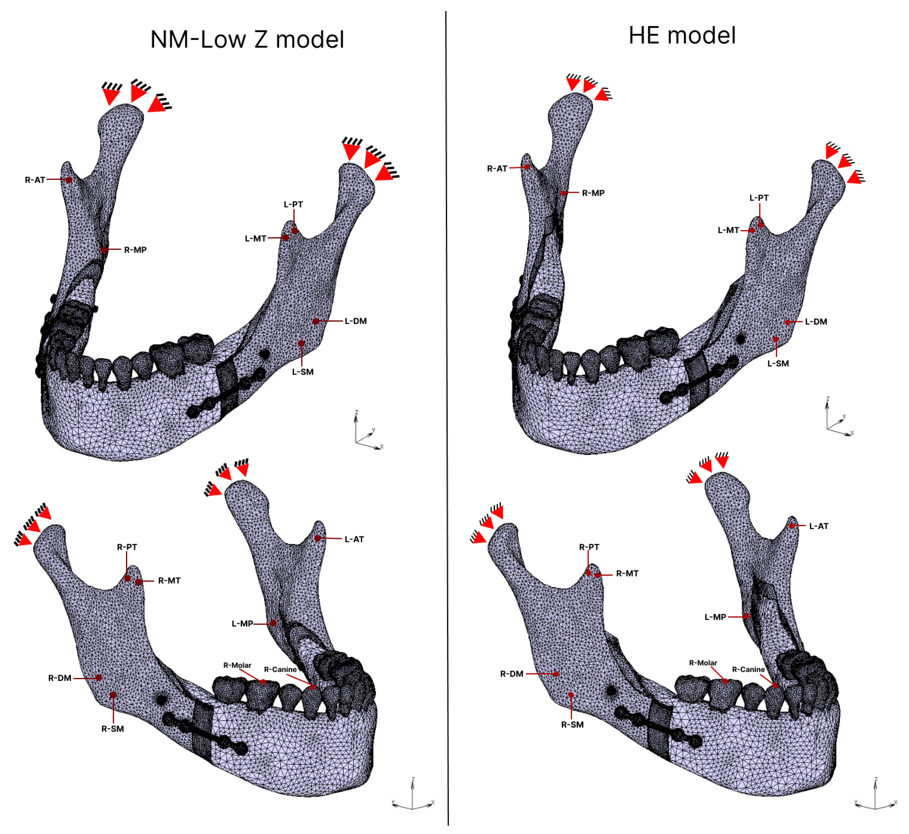 Applsci 14 01795 g002
