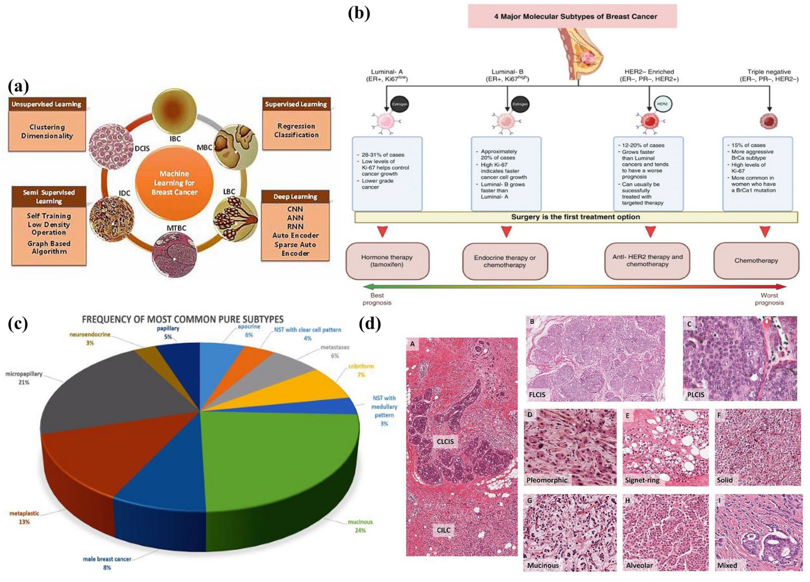 Applsci 14 01809 g001 Applsci 14 01809 g001