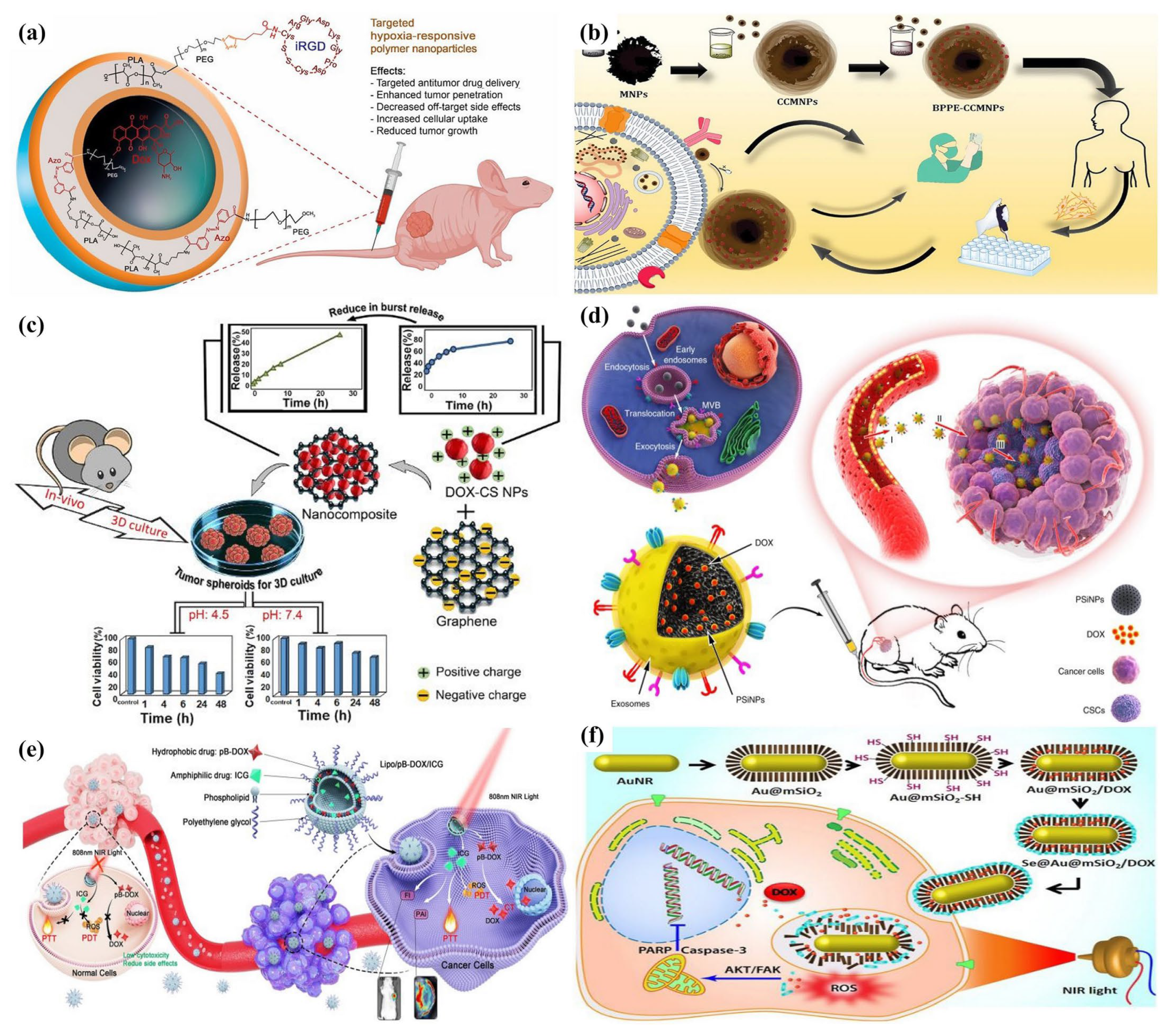 Applsci 14 01809 g003 Applsci 14 01809 g003