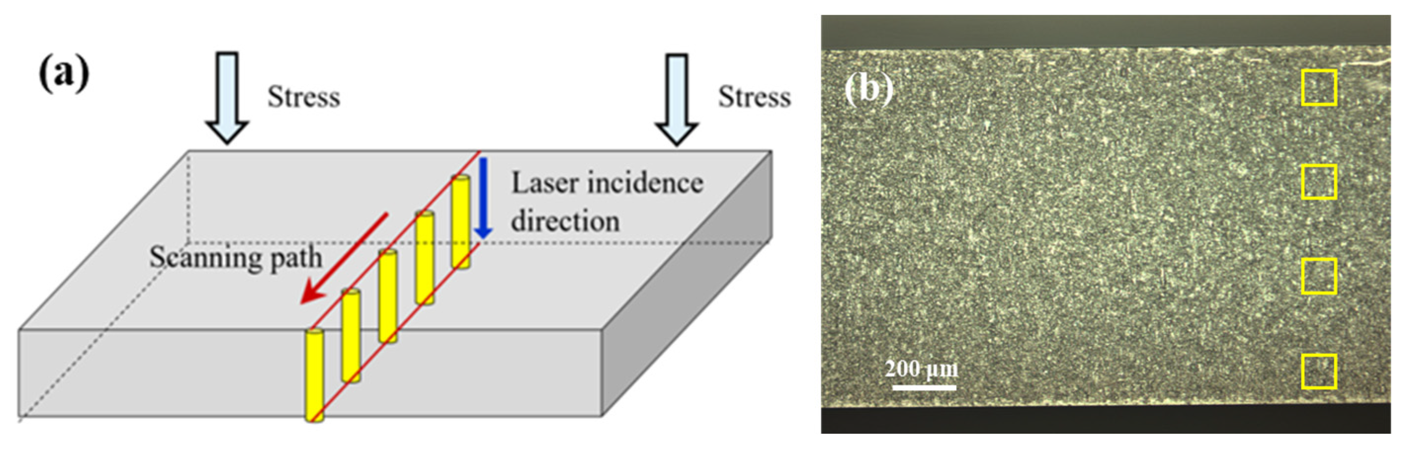 Applsci 14 01885 g003