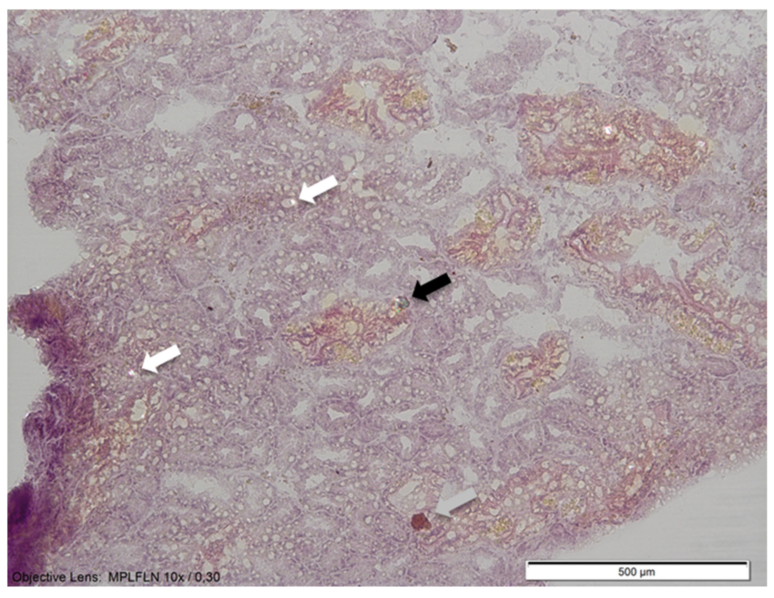 Applsci 14 02056 g002