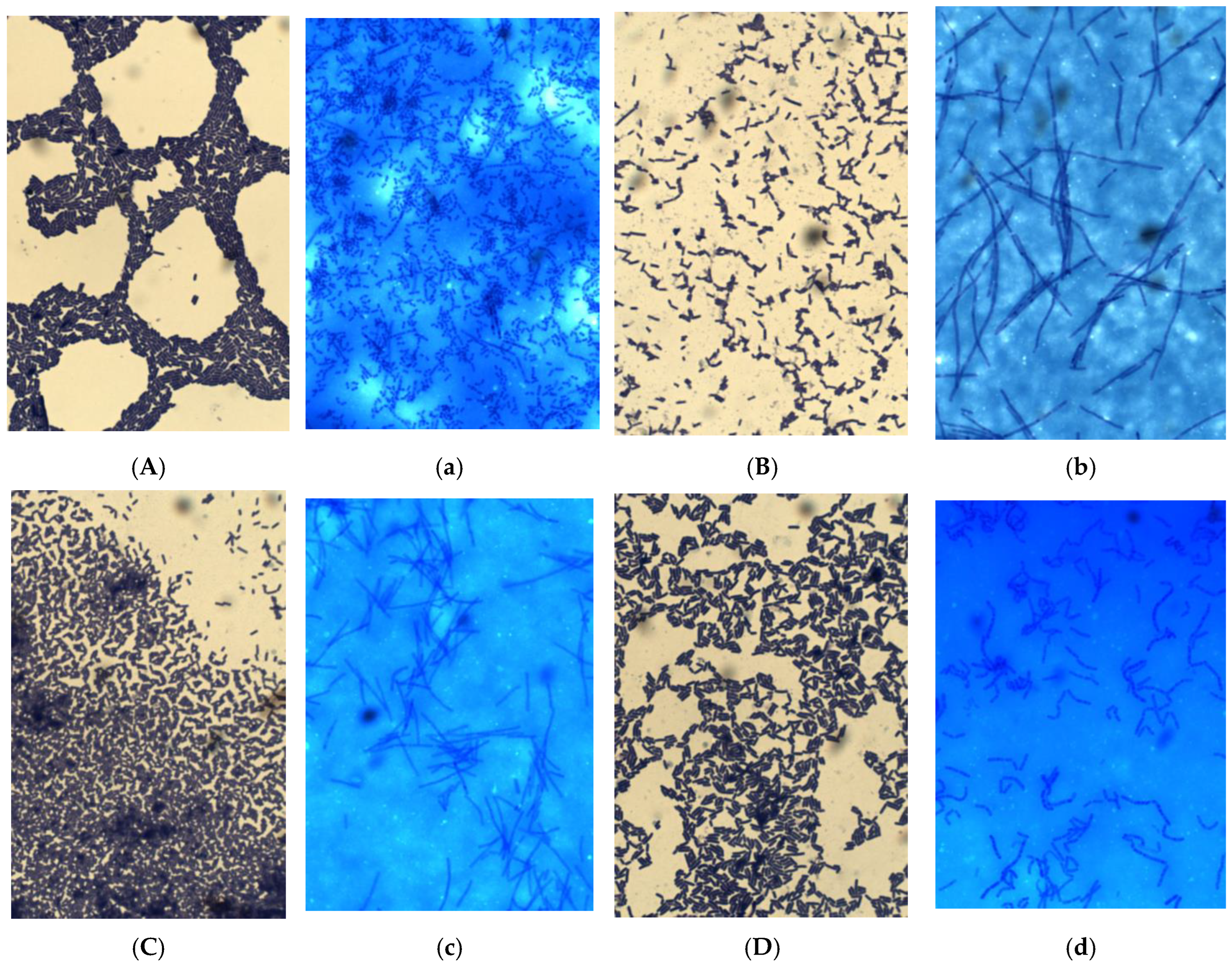 Applied Sciences Free Full Text Identification of Lactic Acid