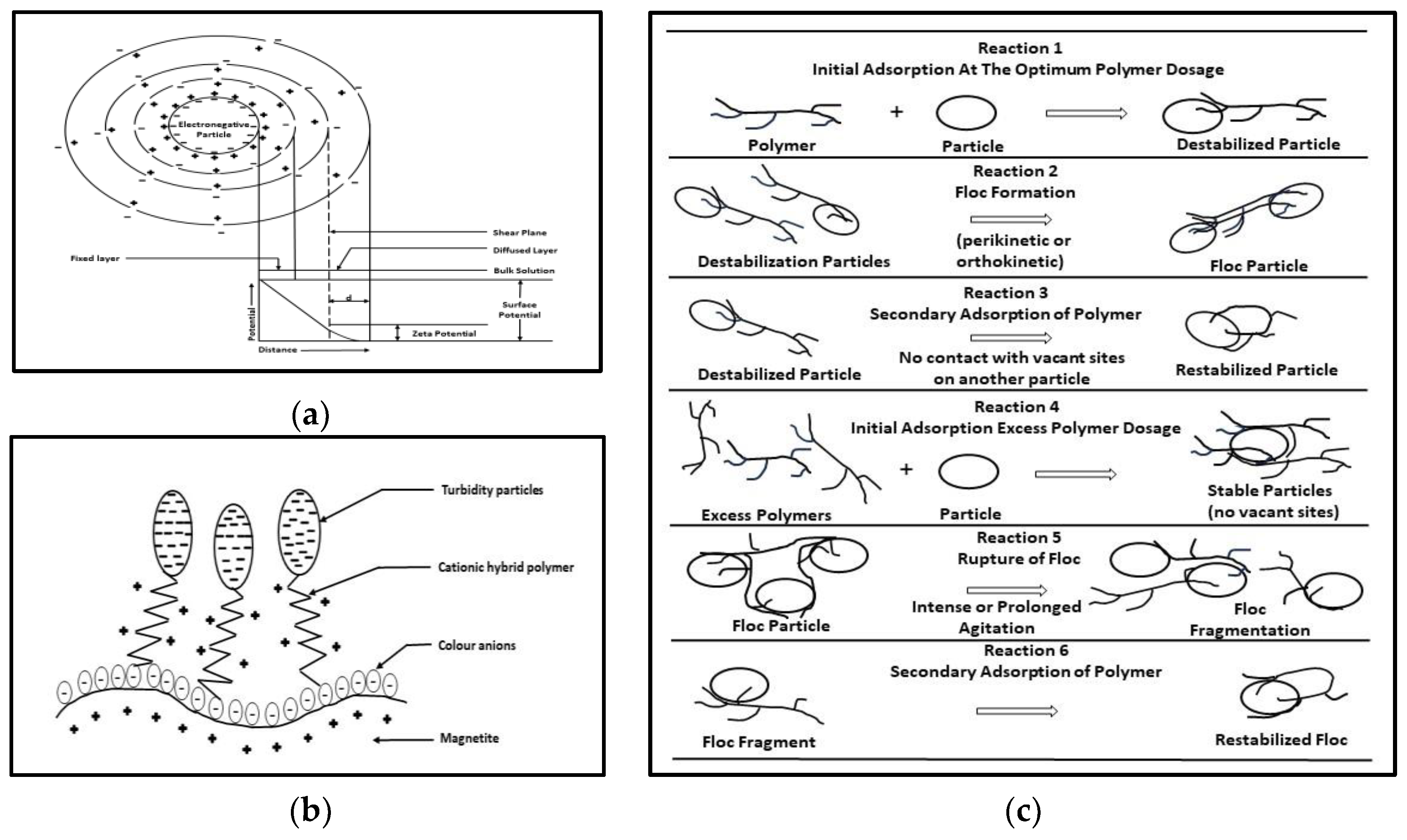 Applsci 14 02184 g004
