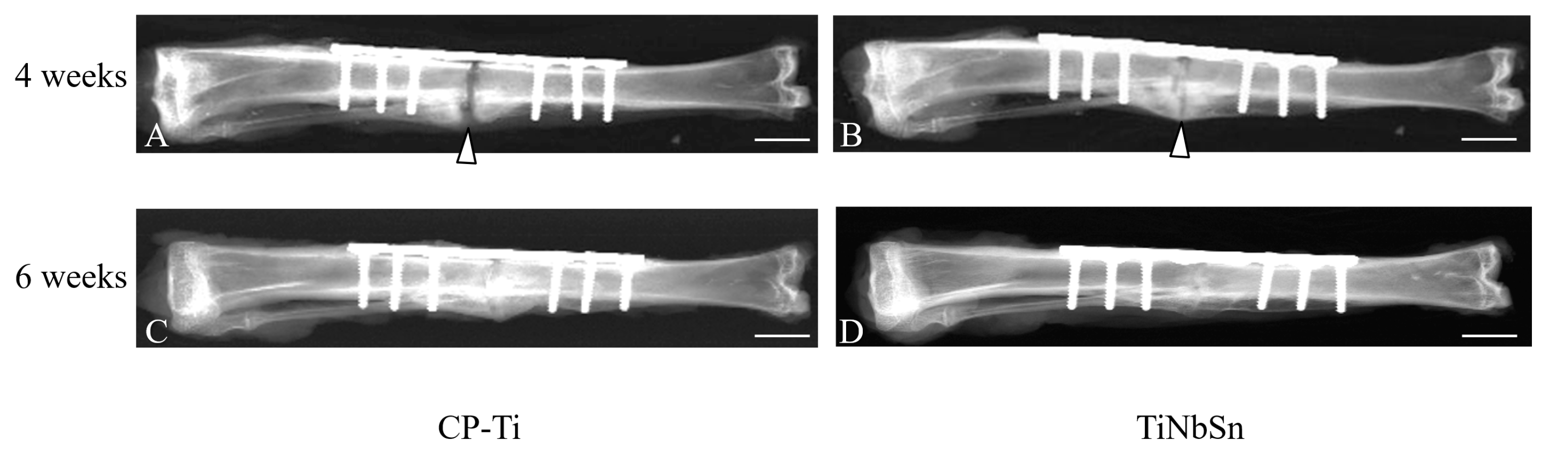 Applsci 14 02259 g002