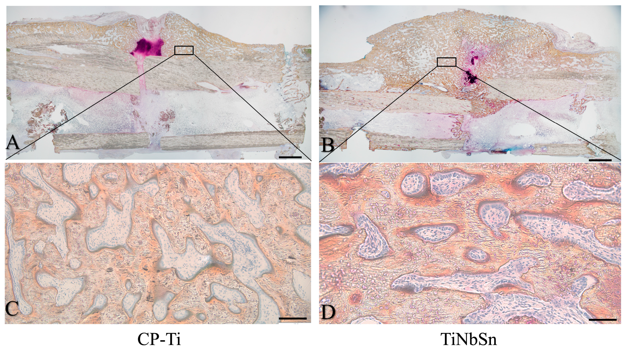 Applsci 14 02259 g003