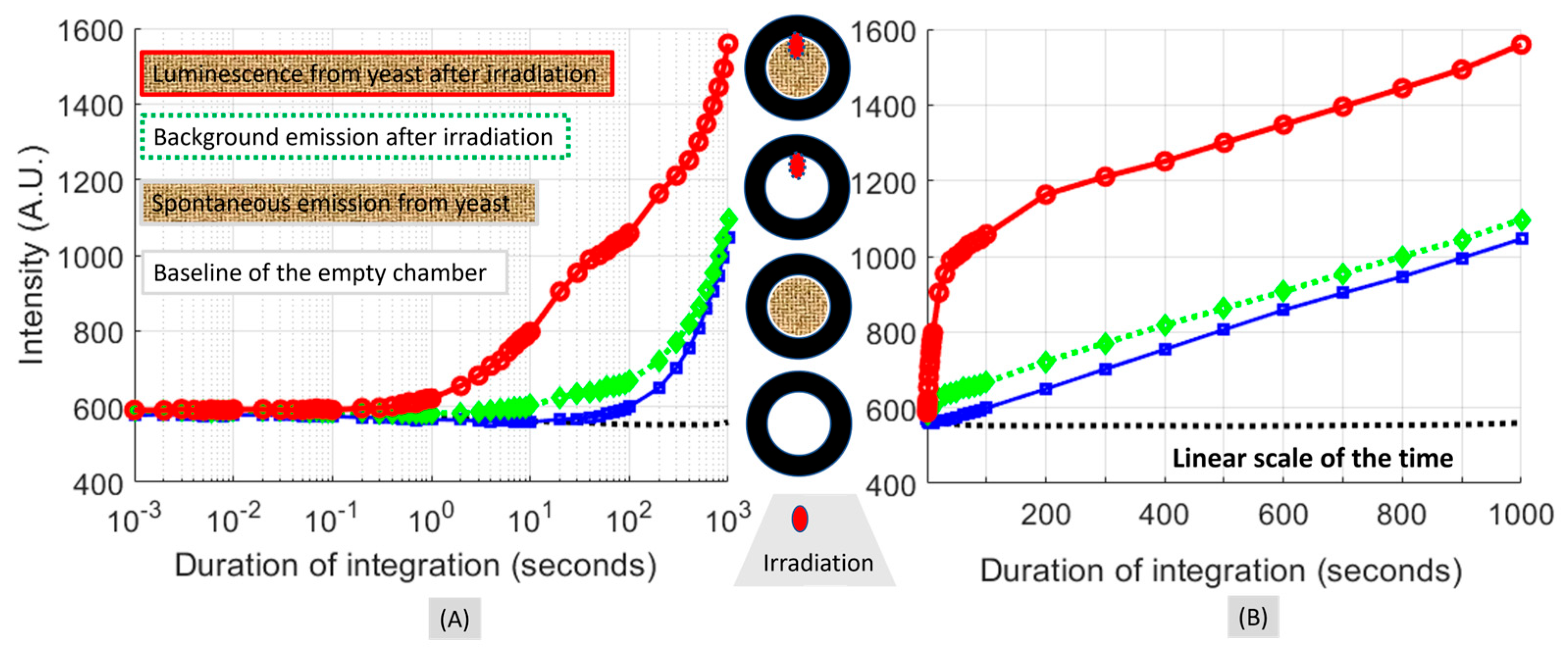 Applsci 14 02392 g007