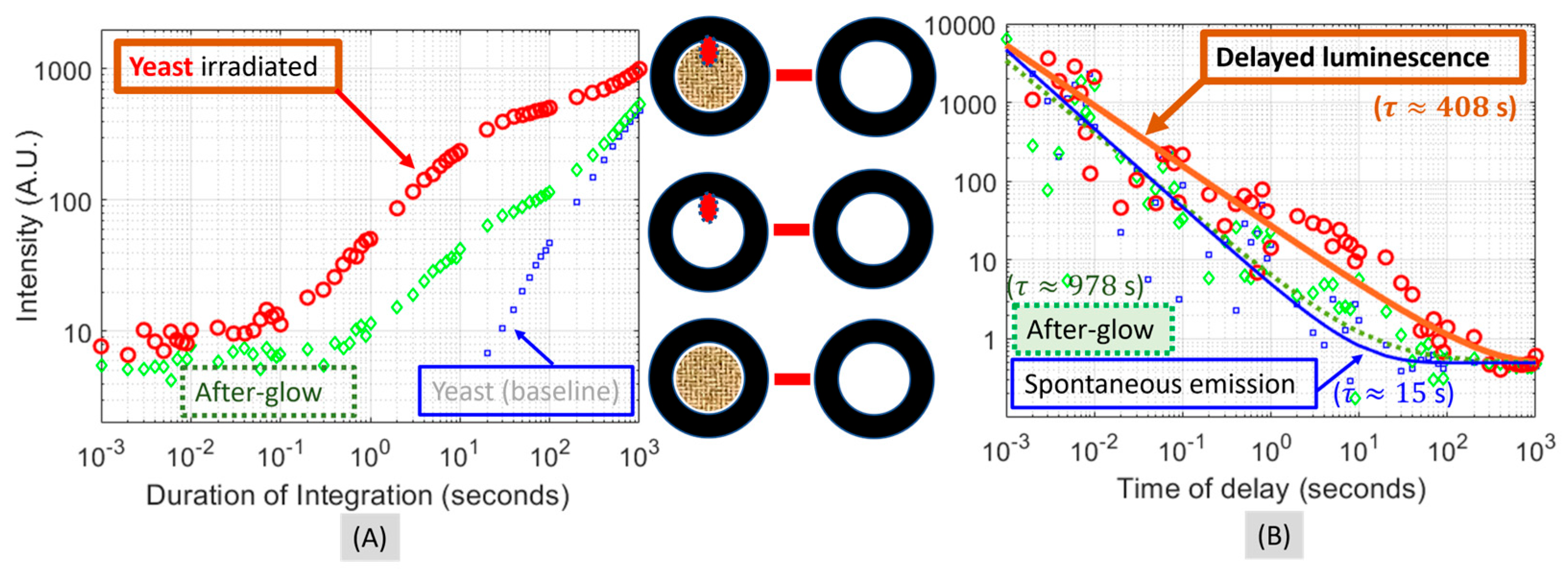 Applsci 14 02392 g008