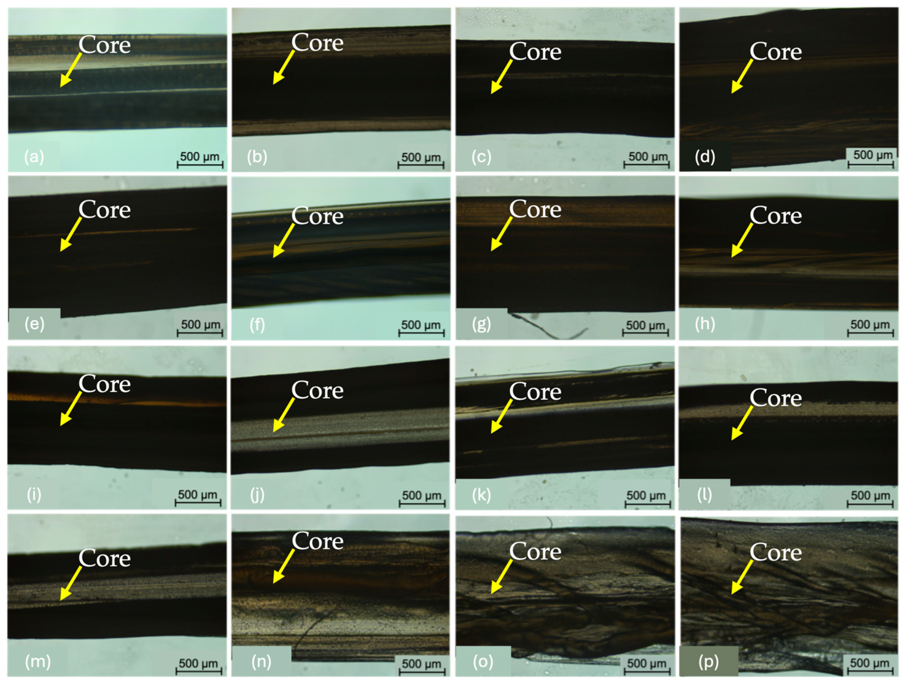 Applsci 14 02473 g007